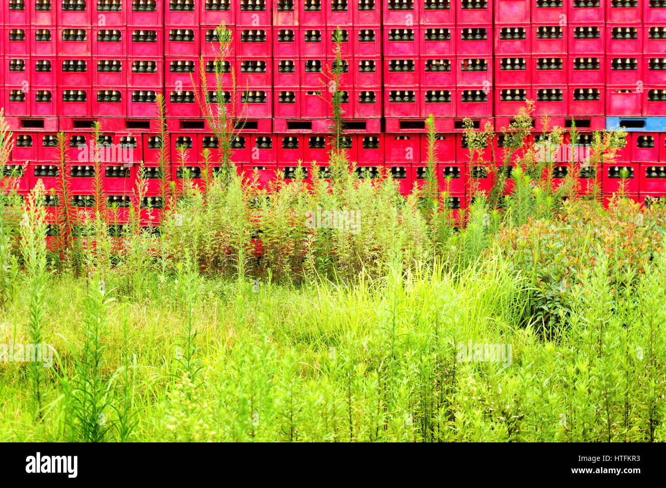 Bierflaschen häuften sich in der frischen Luft, das rote Paket ordentlich platziert. Stockfoto