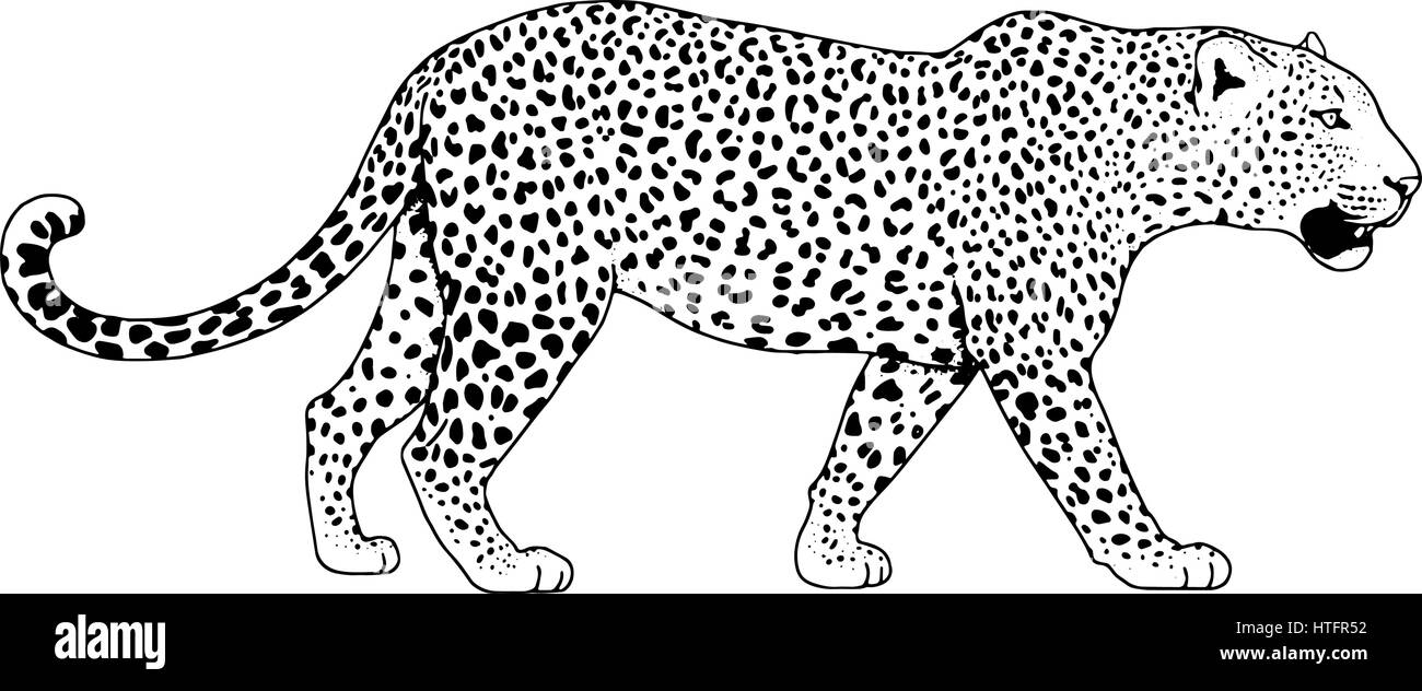 Leopard Gesicht Tattoo, Vektor-Illustration, print Stock Vektor