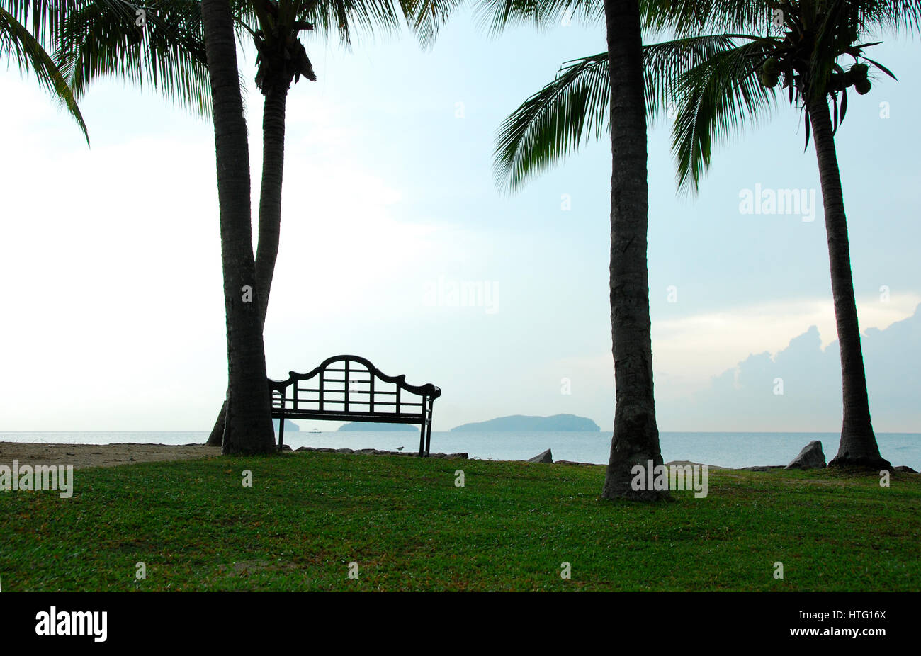 Sabah - Stock image Sabah State, Asien, Kokospalme, Kota Kinabalu, Malaysia Stockfoto