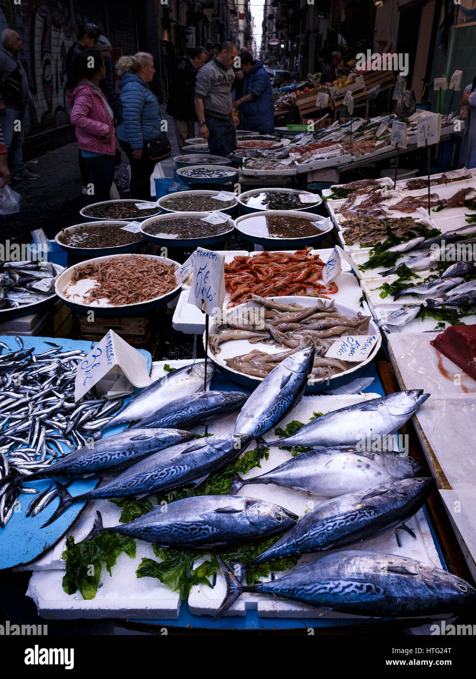 Kleine Thunfische auf einen Fisch stand auf dem Markt Pignasecca Neapel, Italien. Stockfoto