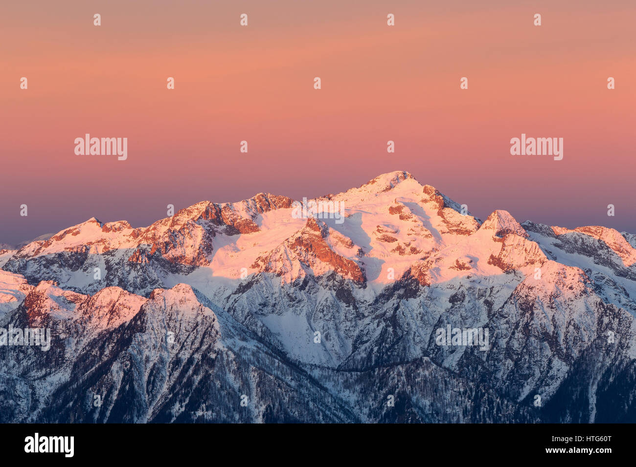 Alpenglow bei Sonnenaufgang auf der Cima d'Asta Bergmassiv. Trentino. Italienische Alpen. Europa. Stockfoto