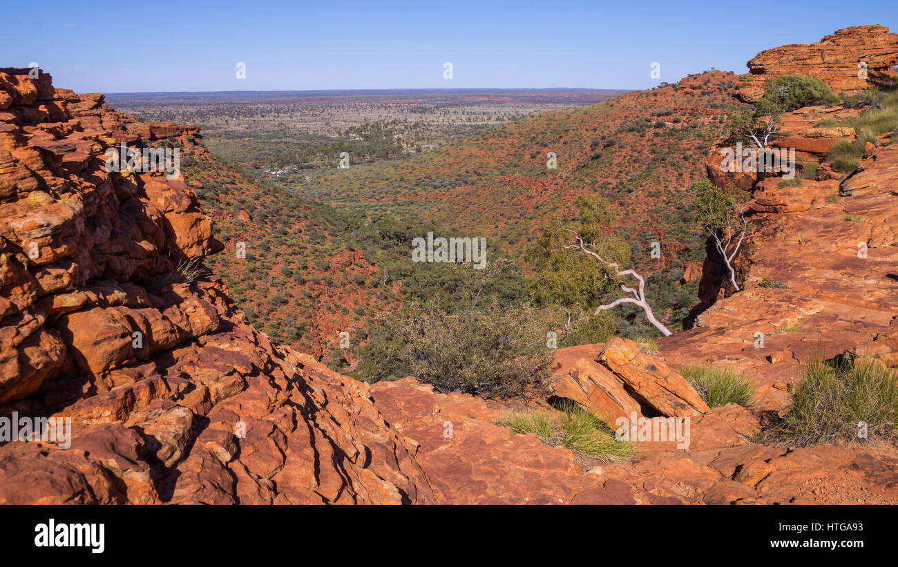 Orange Felsen des entfernten Kings Canyon, Outback, Australien Stockfoto