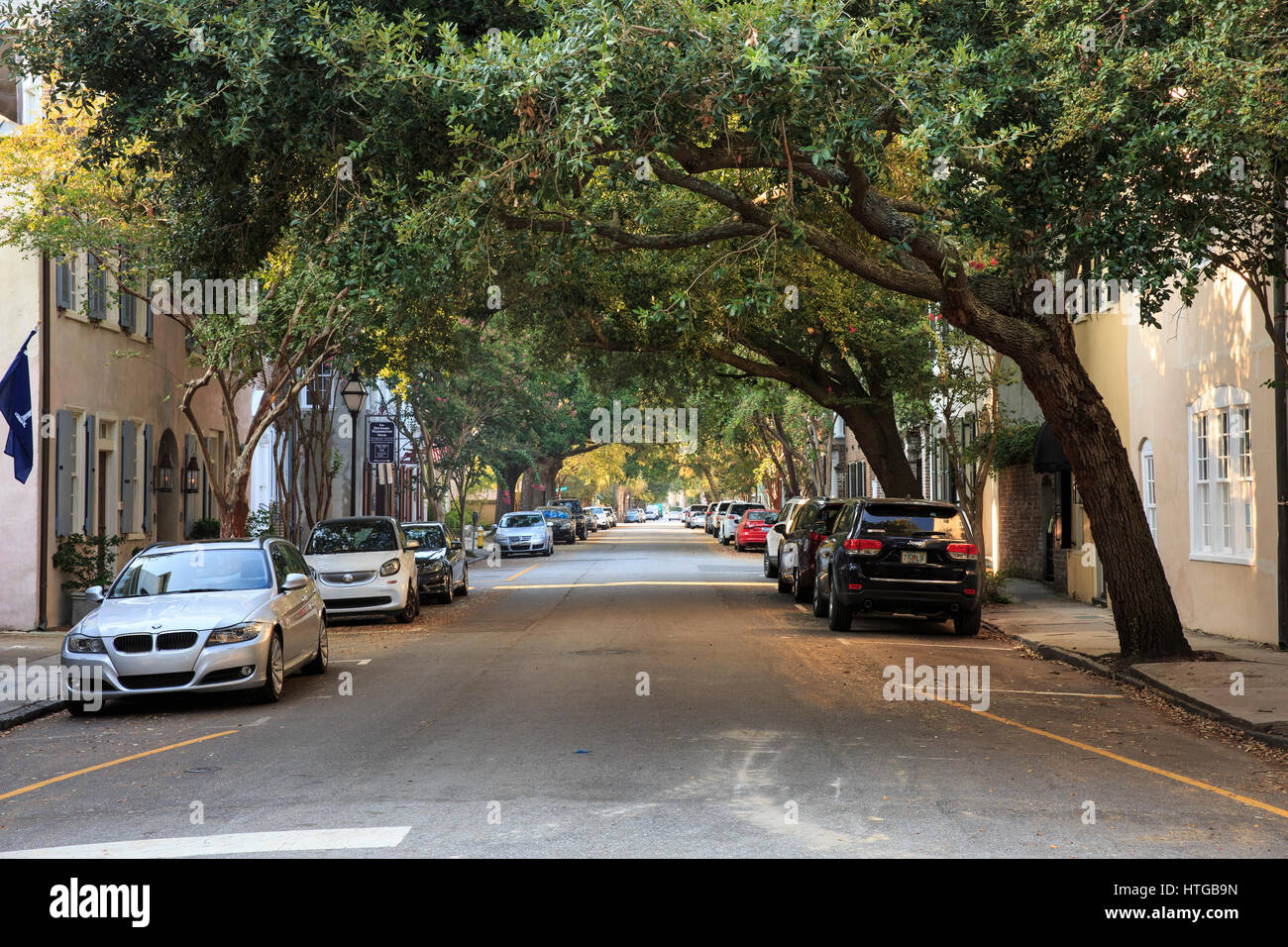 Von Bäumen gesäumten Straße in der historischen Wohngegend von Charleston. South Carolina Stockfoto