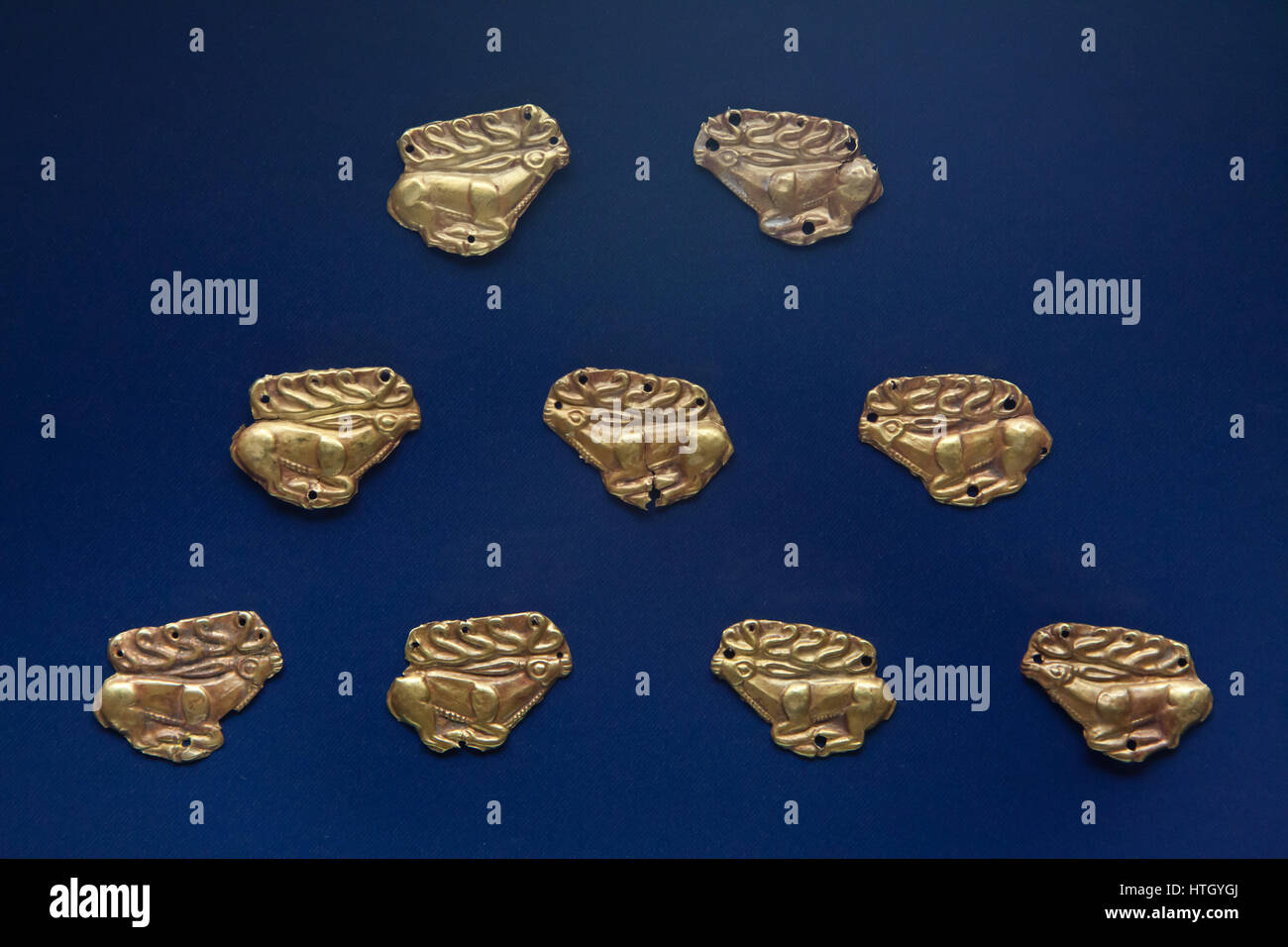 Skythische Gold aus dem 6. Jahrhundert v. Chr. auf dem Display in den staatlichen Antikensammlungen (Bayerische staatliche Sammlung von Antiquitäten) in München, Bayern, Deutschland. Stockfoto