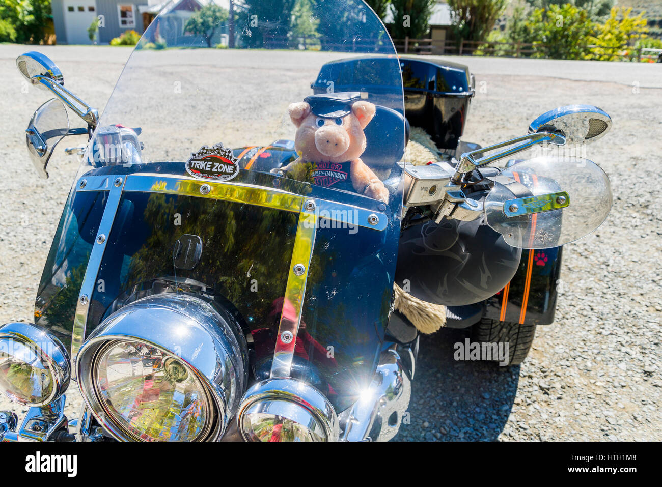 Schwein-Spielzeug auf Motorrad Stockfoto