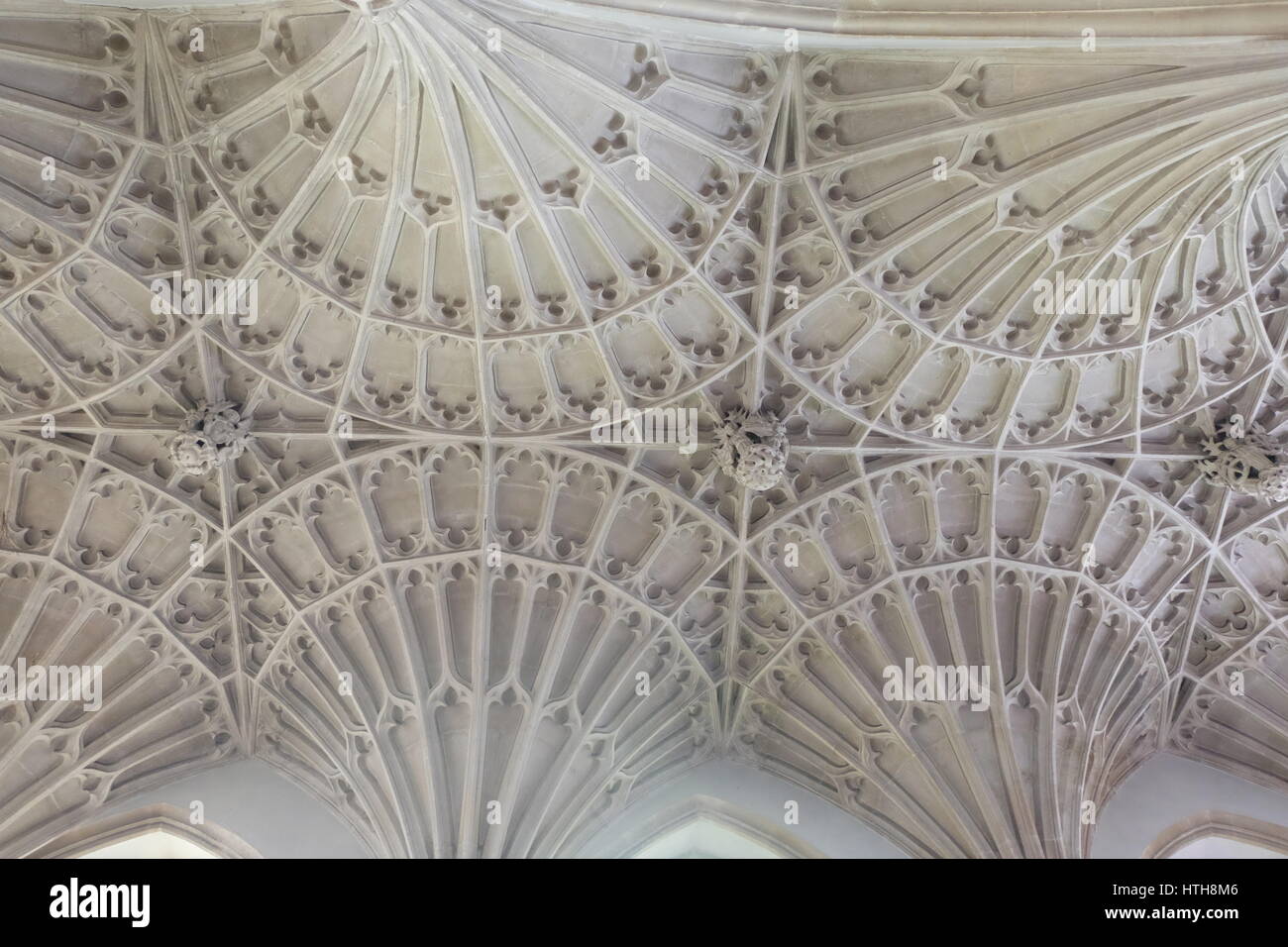 Der Lüfter gewölbte Decke der Lane Gang, Cullompton Kirche, Devon Stockfoto