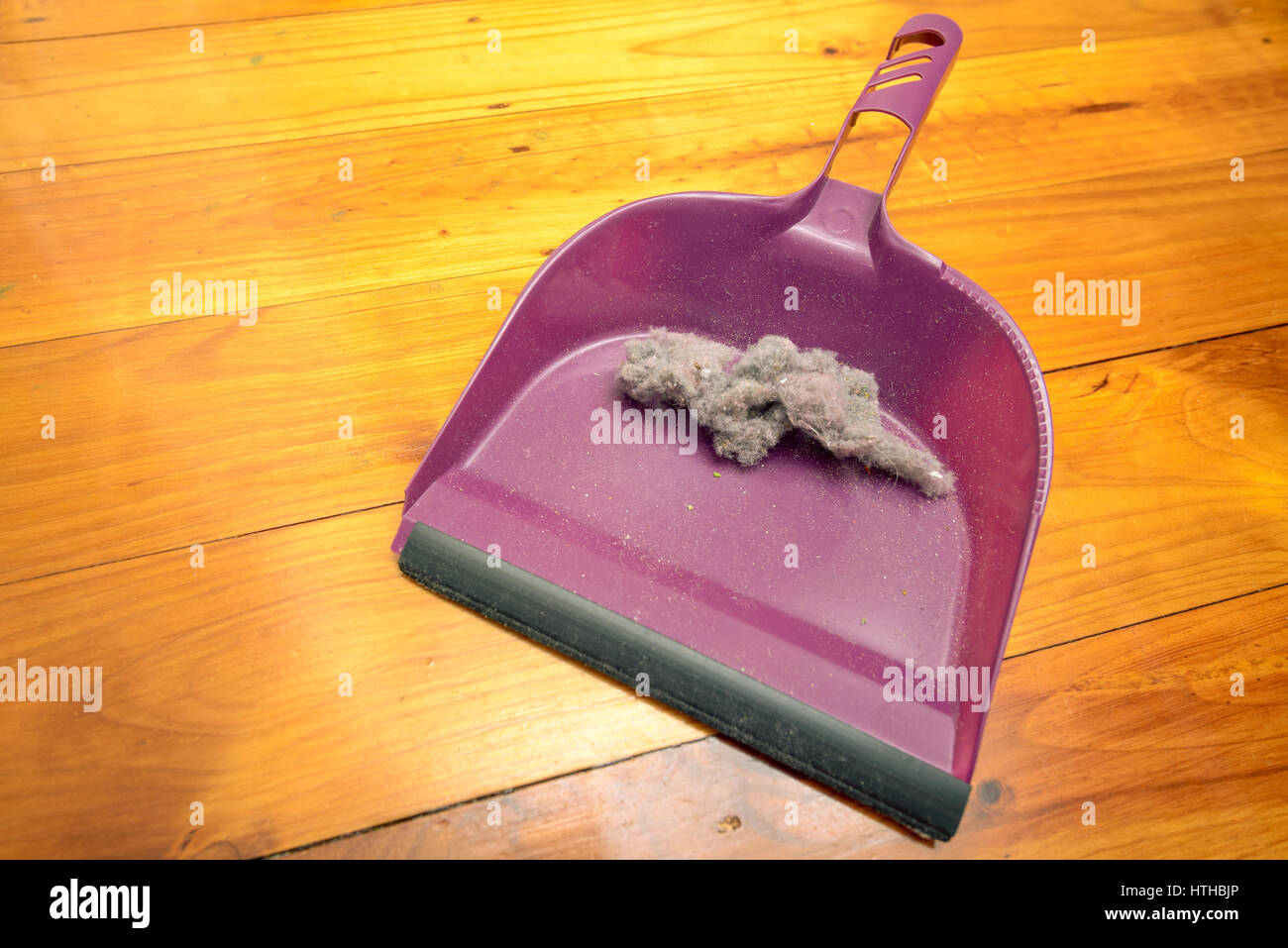 Kehrschaufel mit Ball der Staub am Boden im Zimmer Haus Stockfoto