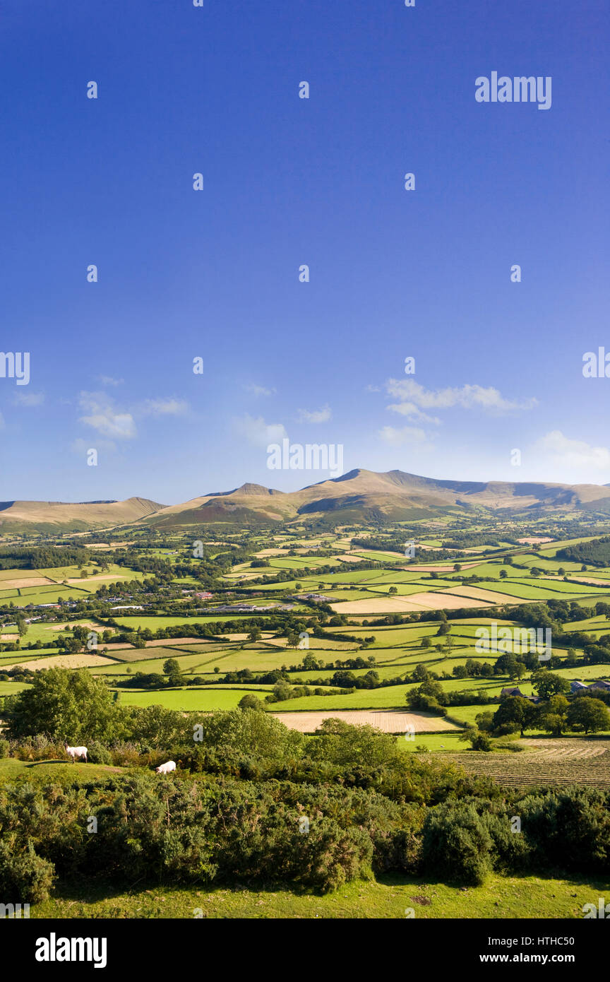 Pen y Fan, Du Mais, Cribyn und Zentralmassiv, Blick von Pen-y-Crug im Spätsommer, Brecon Beacons National Park. Stockfoto