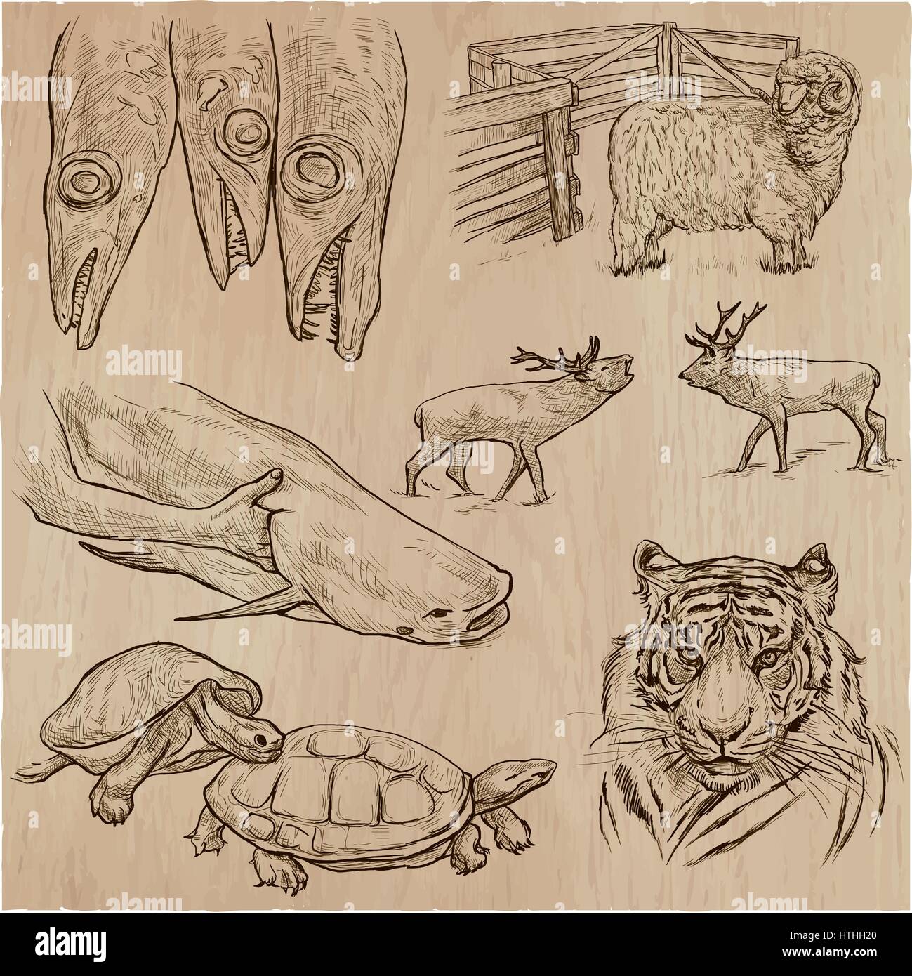 Tiere auf der ganzen Welt. Ein Vektor-Illustrationen von Hand gezeichnet. Kollektion. In Schichten und Gruppen bearbeitet werden. Stock Vektor