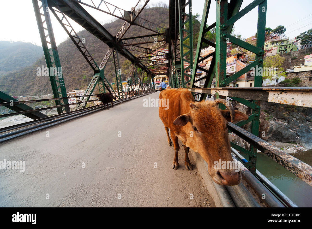 Brücke über dem Alaknanda Fluß an Rudraprayag Stadt, Nordindien Stockfoto