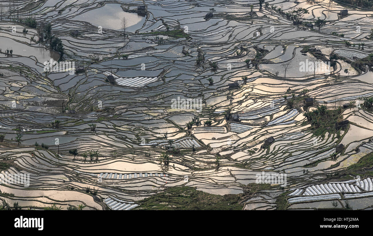 Sonnenuntergang über Reisterrassen von YuanYang in Yunnan, China, eines der jüngsten UNESCO-Welterbestätten Stockfoto