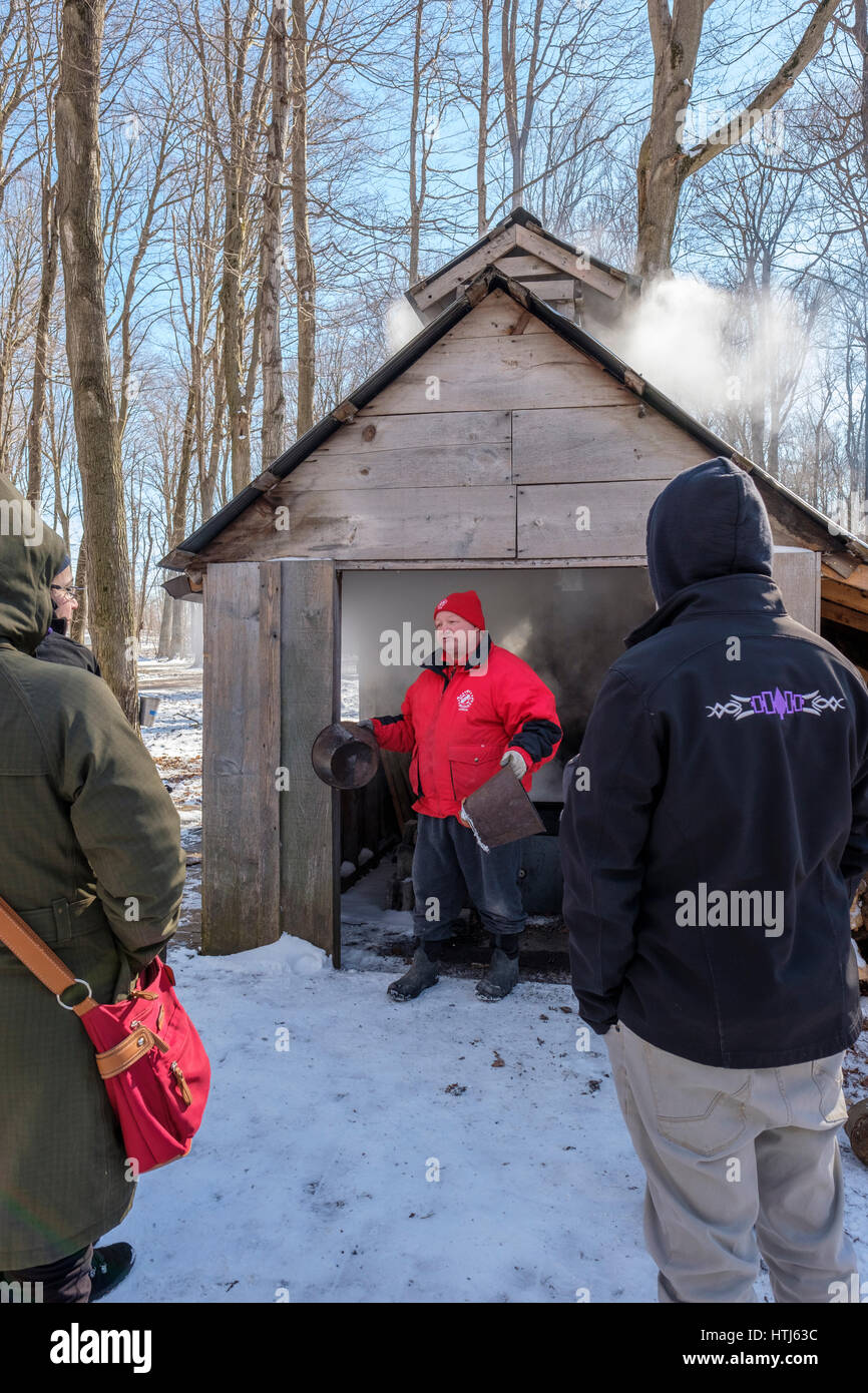 Ein Freiwilliger erklärt, wie Ahornsirup früher vor einer Holzzuckerhütte in den Verwandten Fanshawe Sugar Bush in London, Ontario, Kanada hergestellt wurde. Stockfoto