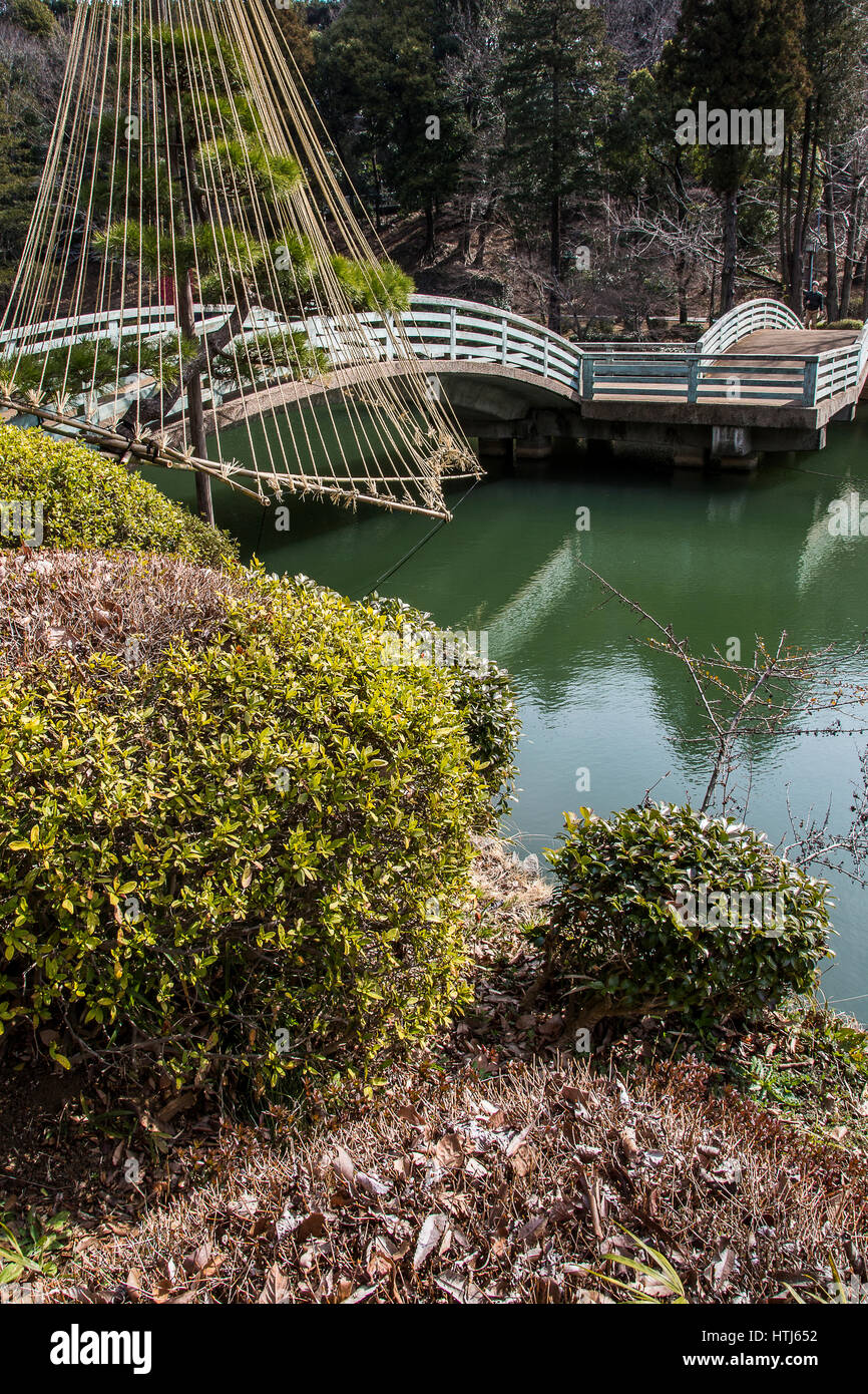 Yakushiike Garten ist benannt nach seiner zentralen Teich, Yakushi-Ike.  Der Teich-Garten ist umgeben von Pflaume und Kirsche, so ist es ein berühmter Ort in Tok Stockfoto