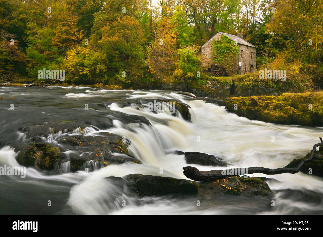 Cenarth fällt, Cenarth, Ceredigion, West Wales, uk Stockfoto