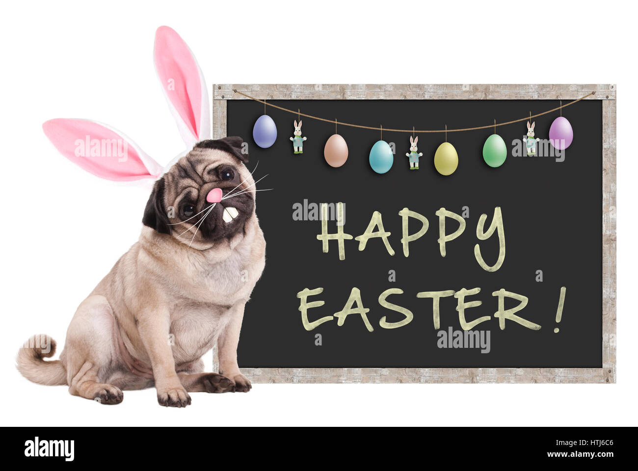 süße Mops Welpen Hund mit Hase Ohren Diadem sitzt neben Tafel Schild mit Text Frohe Ostern und Dekoration, auf weißem Hintergrund Stockfoto