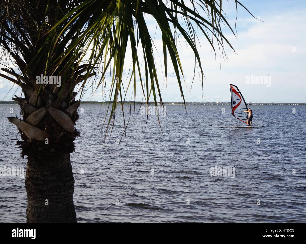 Windsurfen in der Indian River, Florida Stockfoto