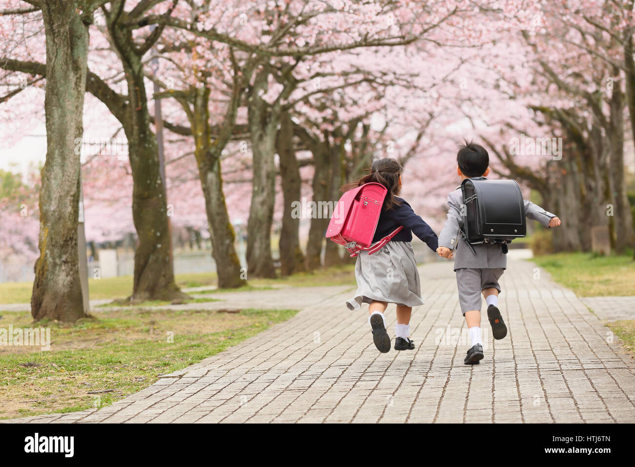Japanische Kinder mit Kirschblüten in einem Stadtpark Stockfoto