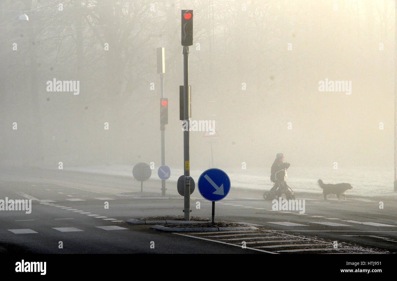 Ampel in Tigt Nebel, sind einige schwach sichtbaren Personen mit einem Hund die Straße überqueren. Stockfoto