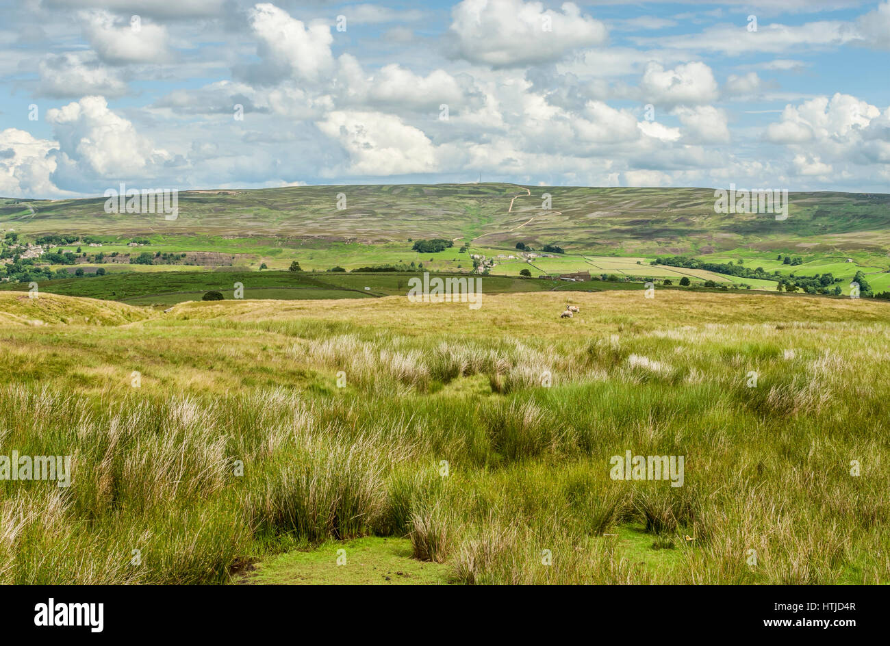 Ackerland in den North Pennines, Yorkshire, England Stockfoto