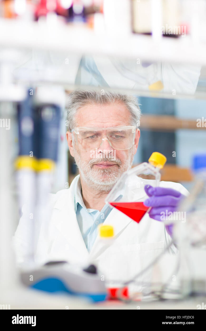 Lebens-Wissenschaftler forschen im Labor. Stockfoto