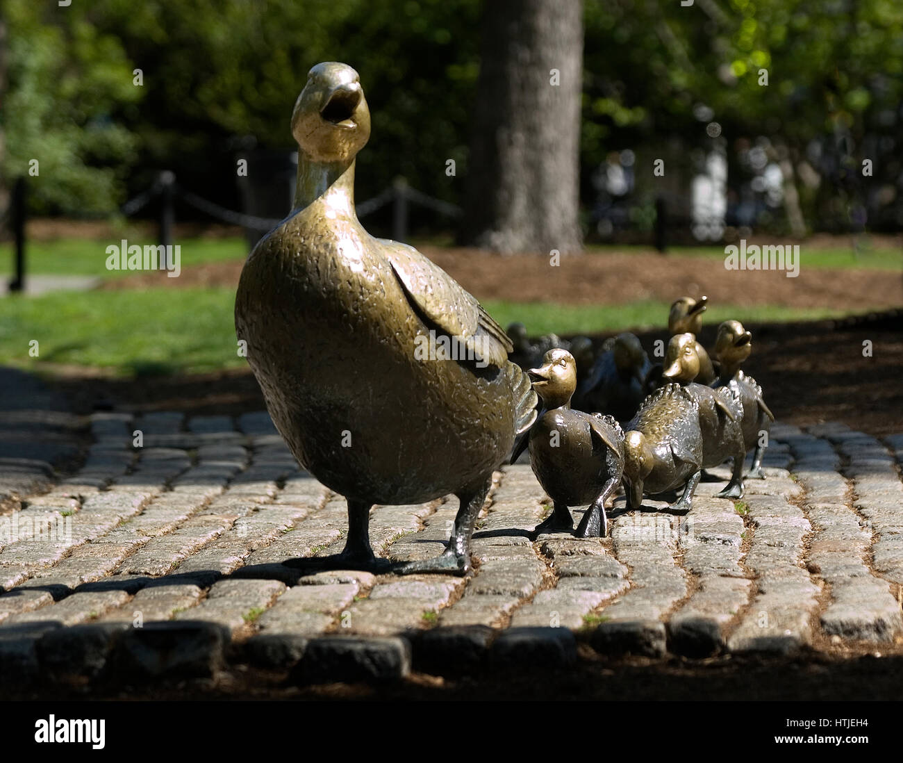 Hässliche Entlein Statue in den öffentlichen Gärten (aus dem Buch "Make Way for Entenküken" Stockfoto