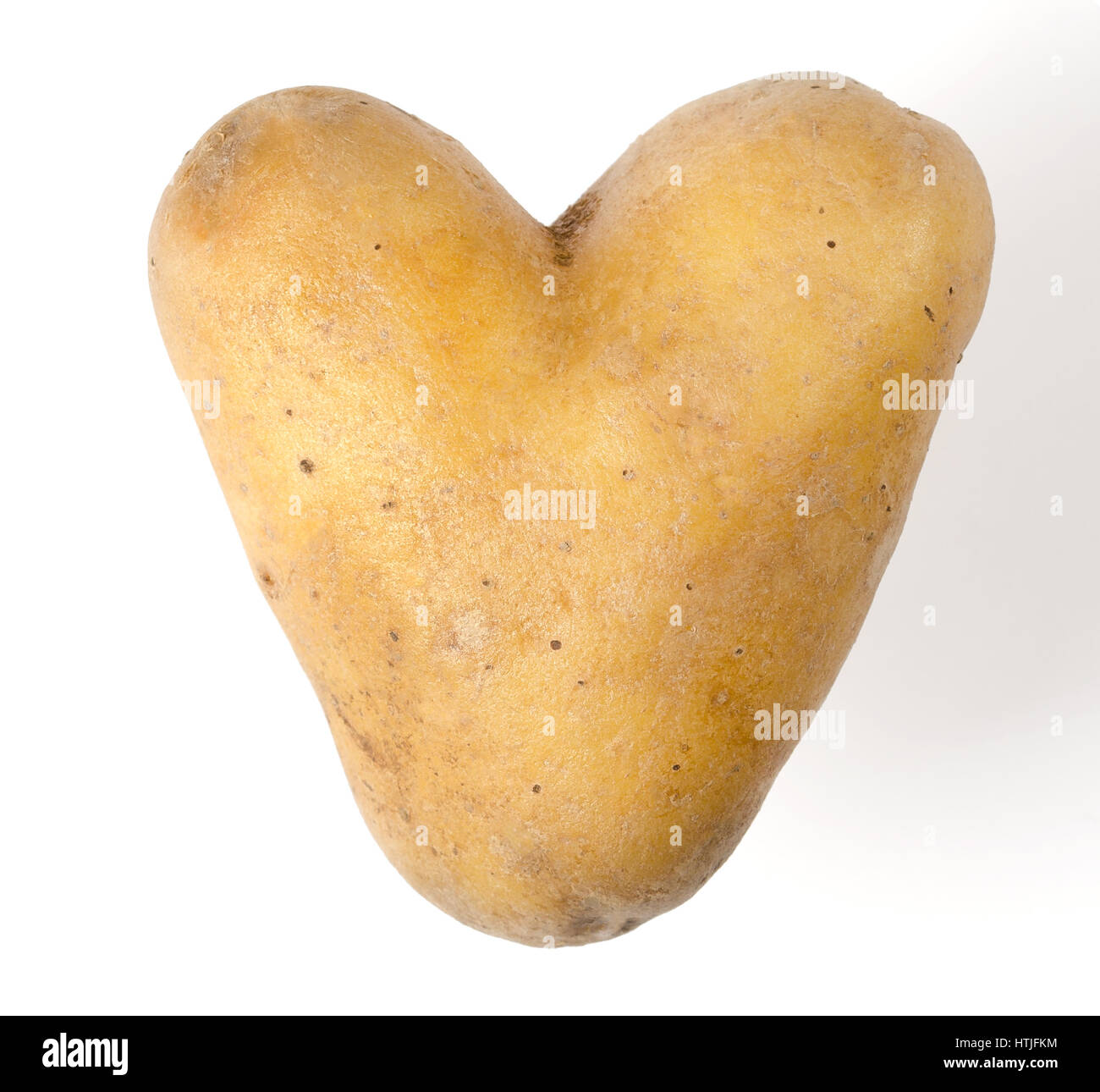Herzförmige Kartoffeln auf weißem Hintergrund. Essbare Knolle von Nachtschatten Solanum Tuberosum, eine stärkehaltige Ernte. Isolierte Makrofoto Essen Nahaufnahme von oben. Stockfoto