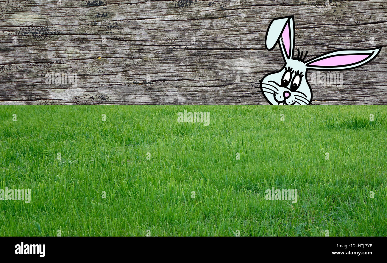 Osterhasen auf dem Rasen, ein Brett im Hintergrund Stockfoto