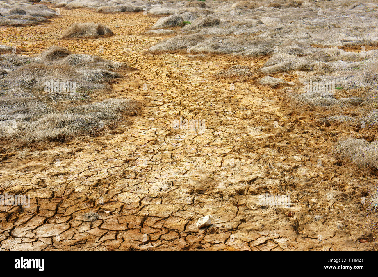 Heu auf Dürre Land, erstaunliche trockene, rissige Erde, Klima Änderung Landwirtschaft Plantage Reduct, Erwärmung ist globales Problem durch Treibhauseffekt Stockfoto