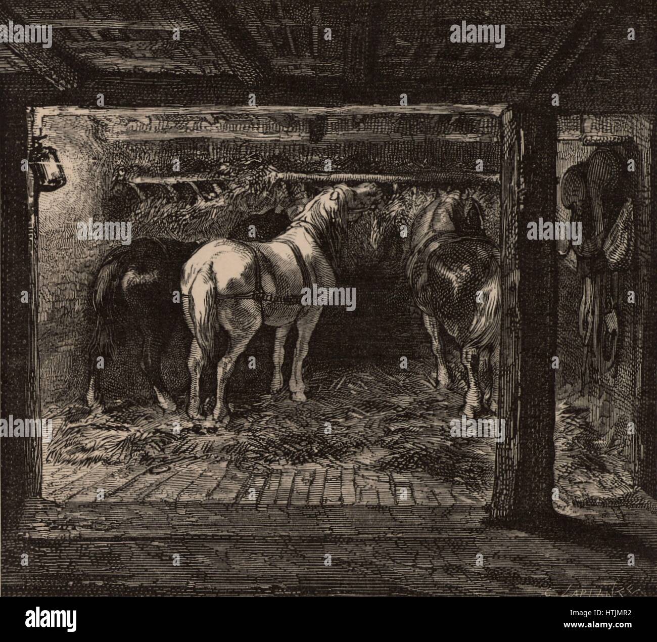 Grube Ponys in ihren unterirdischen stabil in eine Kohle mine. Die Ponys wurden verwendet, um die Wagen auf die Schienen in der Mine arbeiten zu schleppen. Großbritannien. Von "u-Leben; oder Minen und Bergarbeiter durch Louis Simonin (London 1869). Holzstich. Stockfoto