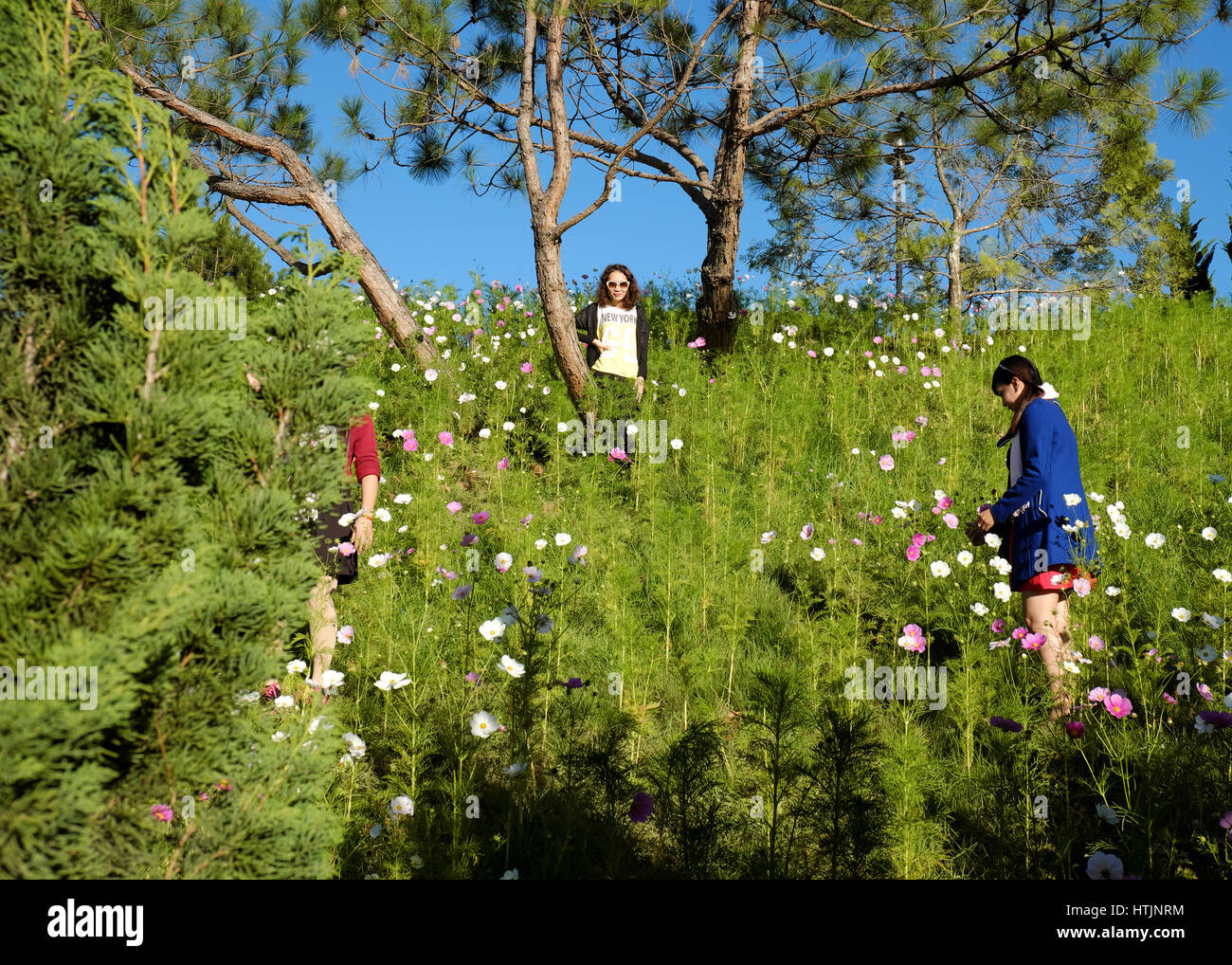 DA LAT, VIET NAM - JAN 1: Voll Szene in Dalat Blumenpark am Blumenfest im Frühling, Gruppe von Reisenden besuchen Naturgarten auf Urlaub, reine atmos Stockfoto