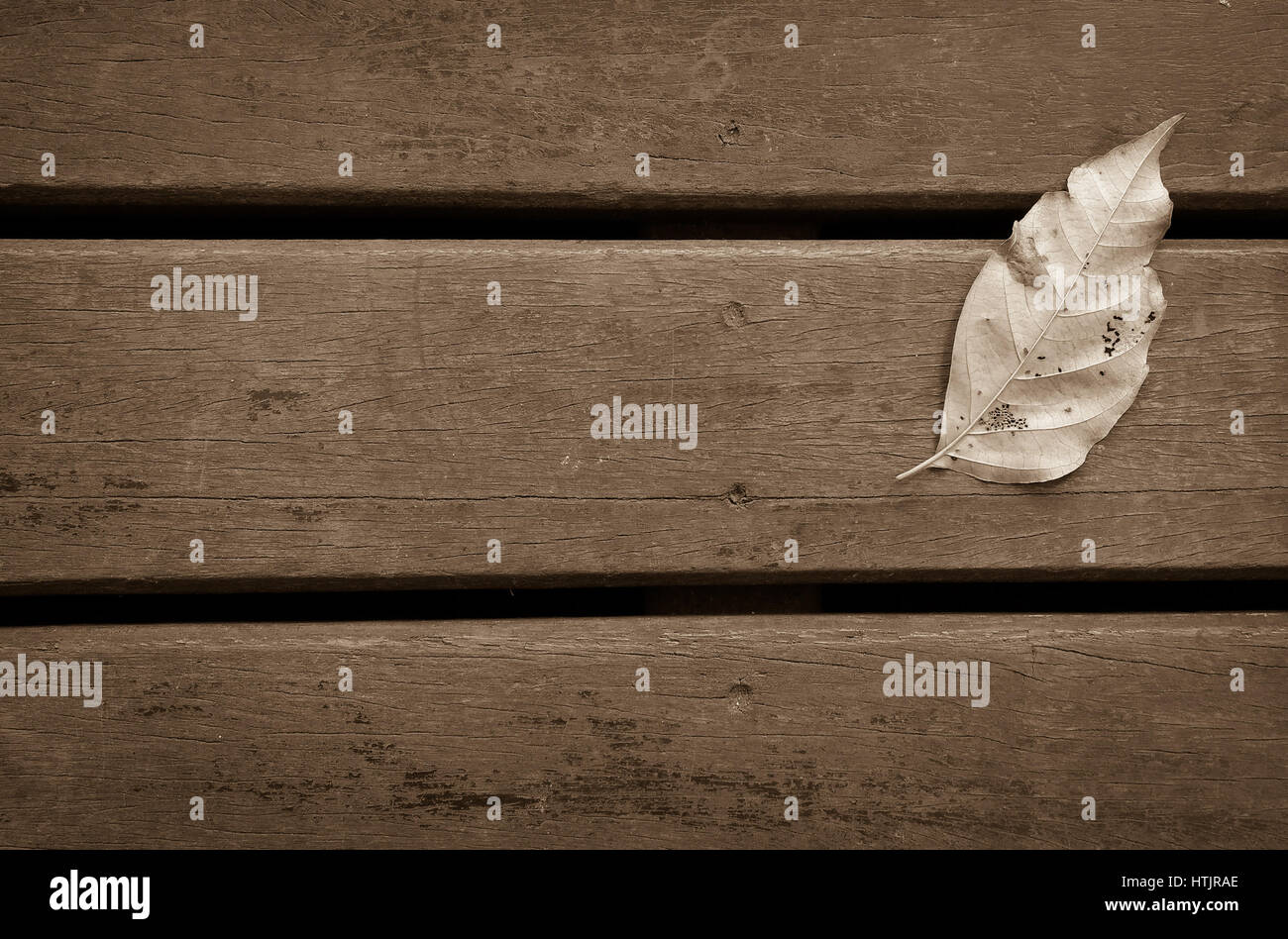 Trockene Blätter auf dem Holzboden in Sepia-Farbton. Stockfoto