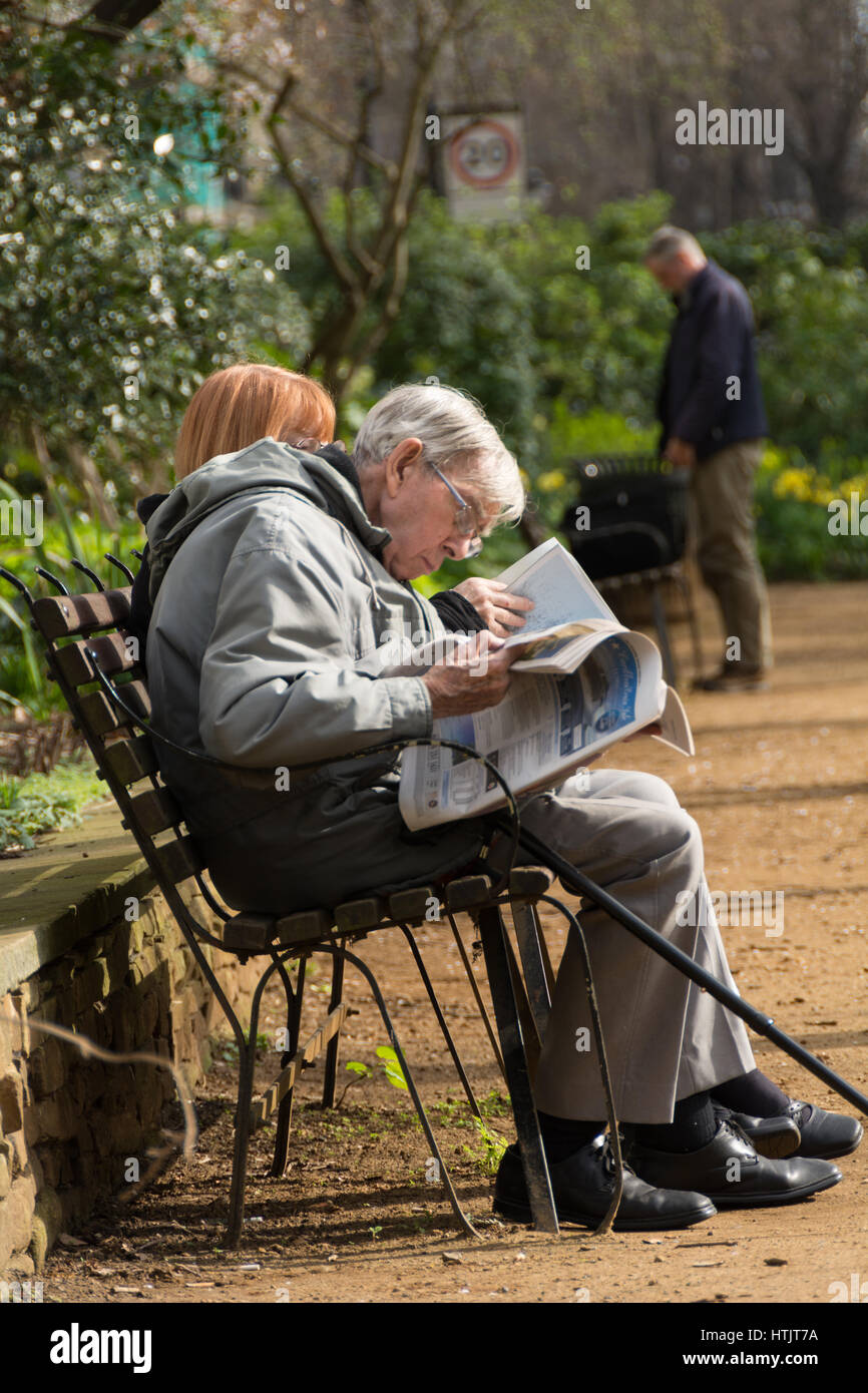Ein alter Mann, der auf einer Parkbank sitzt und eine Zeitung liest, im Frühlingssonnenschein, Gordon Square, London, England, Großbritannien Stockfoto