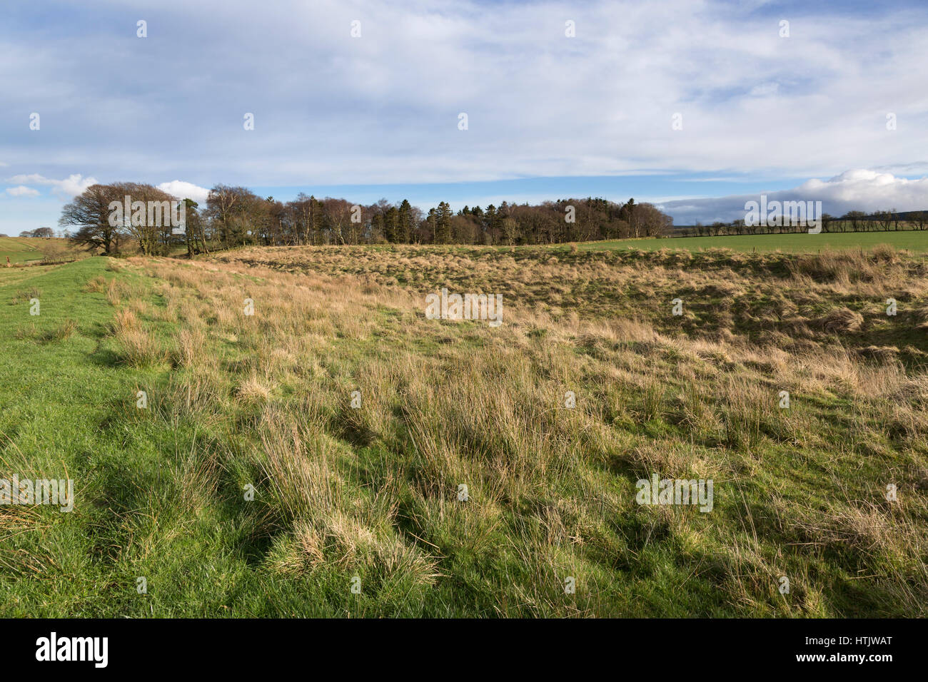 Der Hadrianswall: die "Vallum" ein wenig westlich von Birdoswald Roman Fort, durch den Verlauf der Mauer Rasen in der Nähe von hohen Haus Holz, Cumbria, England Stockfoto