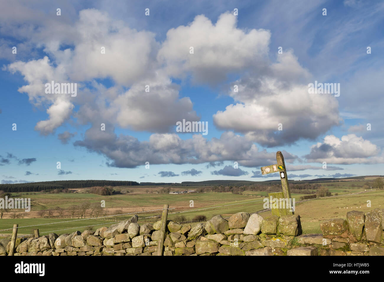 Der Hadrianswall Path ein wenig westlich von Birdoswald Roman Fort, durch den Verlauf der Mauer Rasen in der Nähe von hohen Haus Holz, Cumbria, England Stockfoto