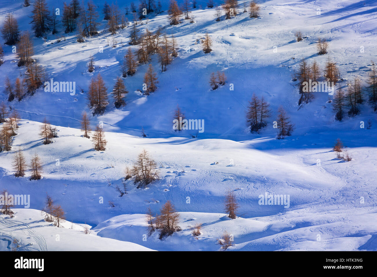 Winterbäume hängen der Berge mit weichem Schnee bedeckt Stockfoto