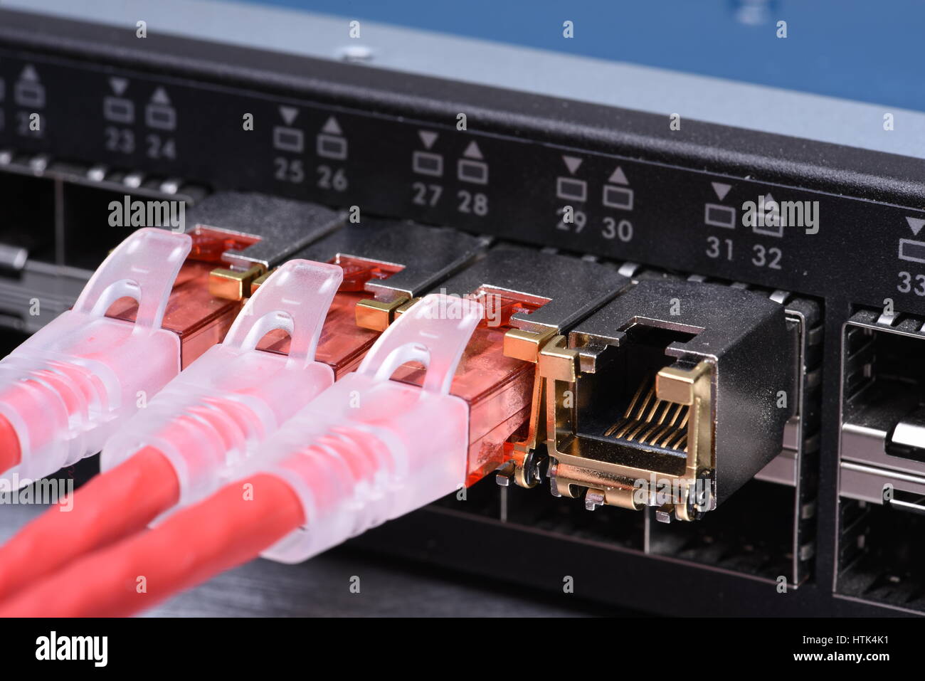 Technologie Geräte Netzwerk Switch mit Ethernet Kabel Stockfoto