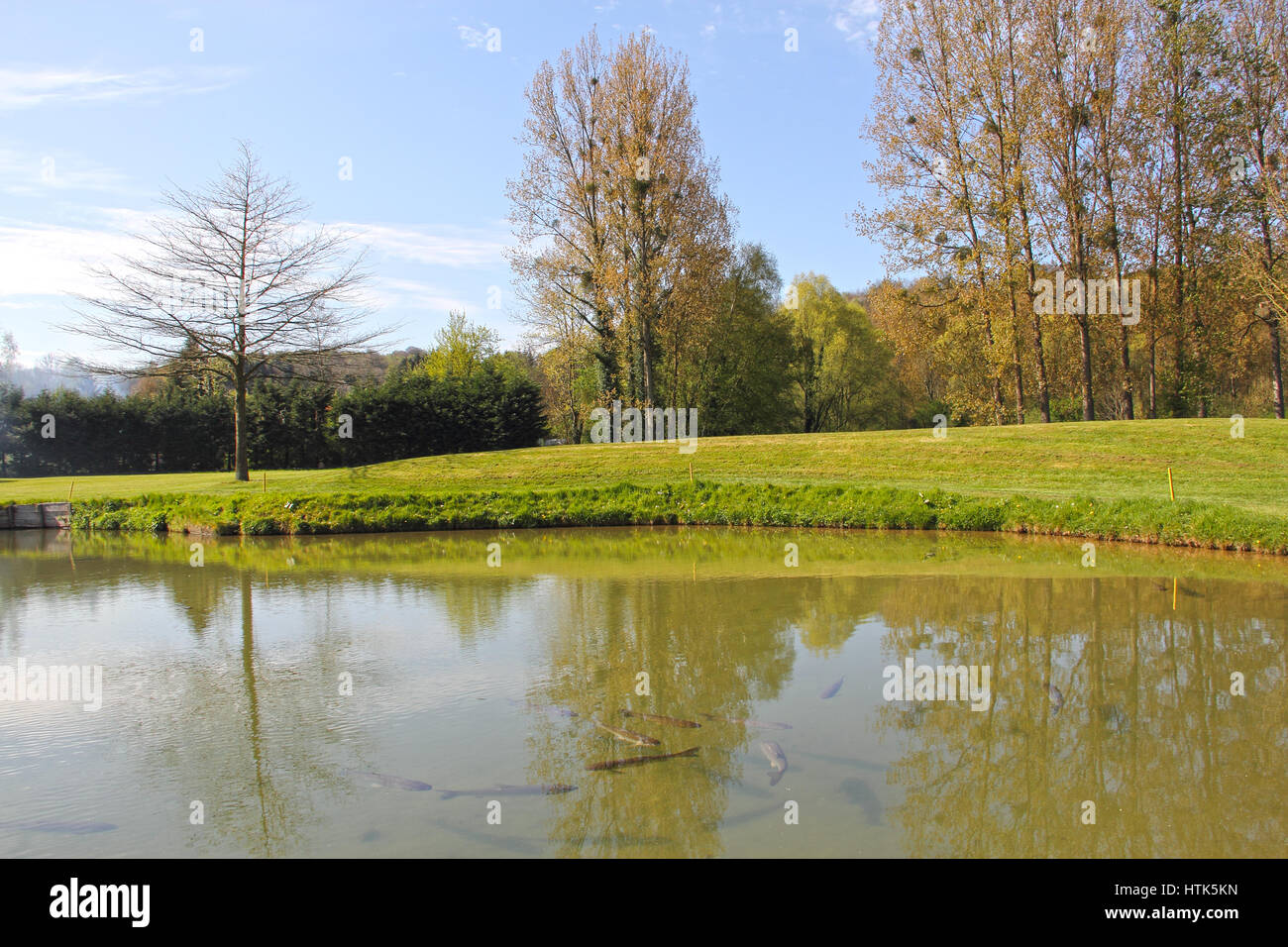Forellen flussteich Fotos und Bildmaterial in hoher Auflösung Alamy