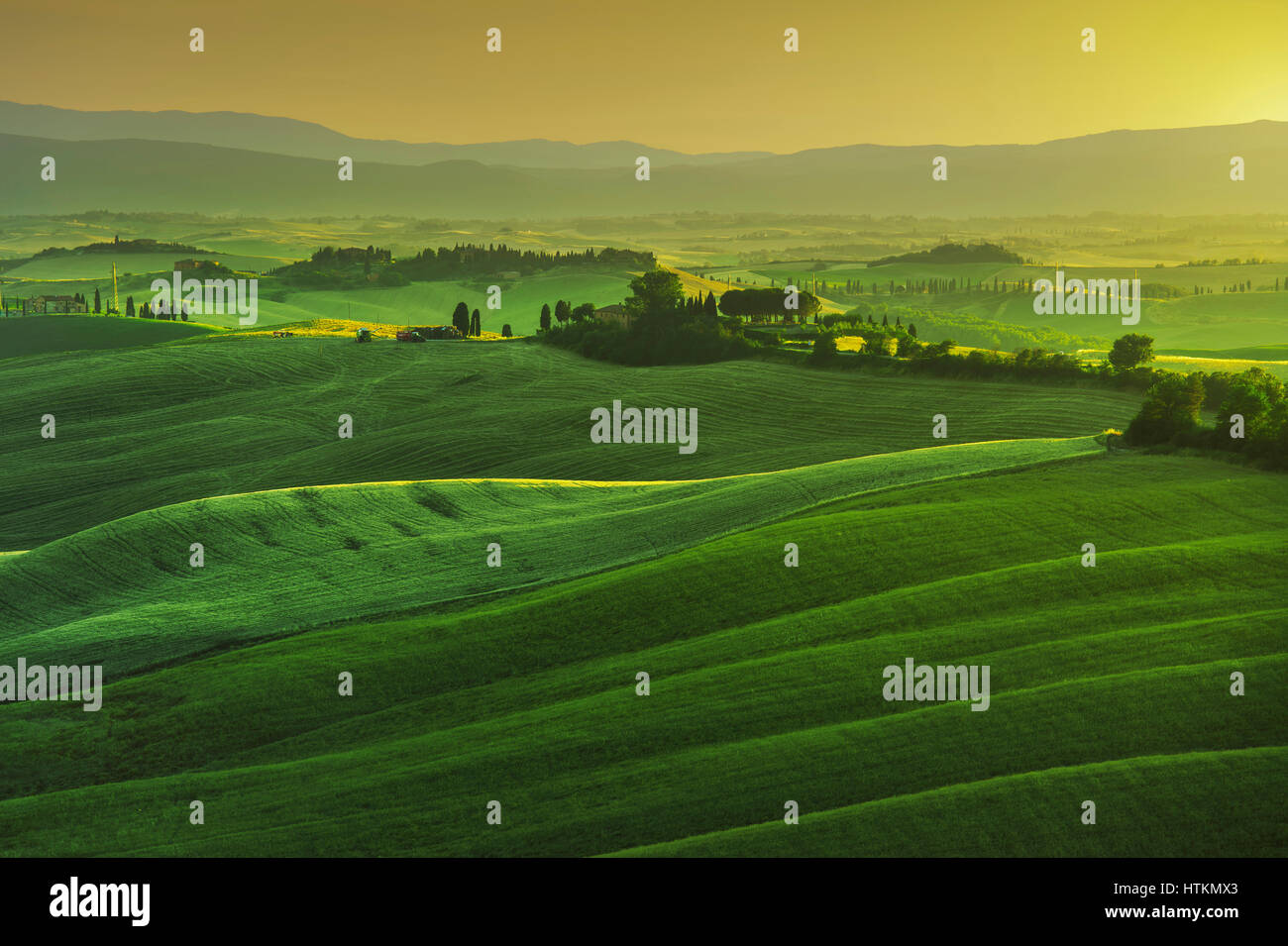 Tuscany Frühling, sanften Hügeln auf dem nebligen Sunset. Landschaft im ländlichen Raum. Grüne Wiesen und Ackerland. Italien, Europa Stockfoto