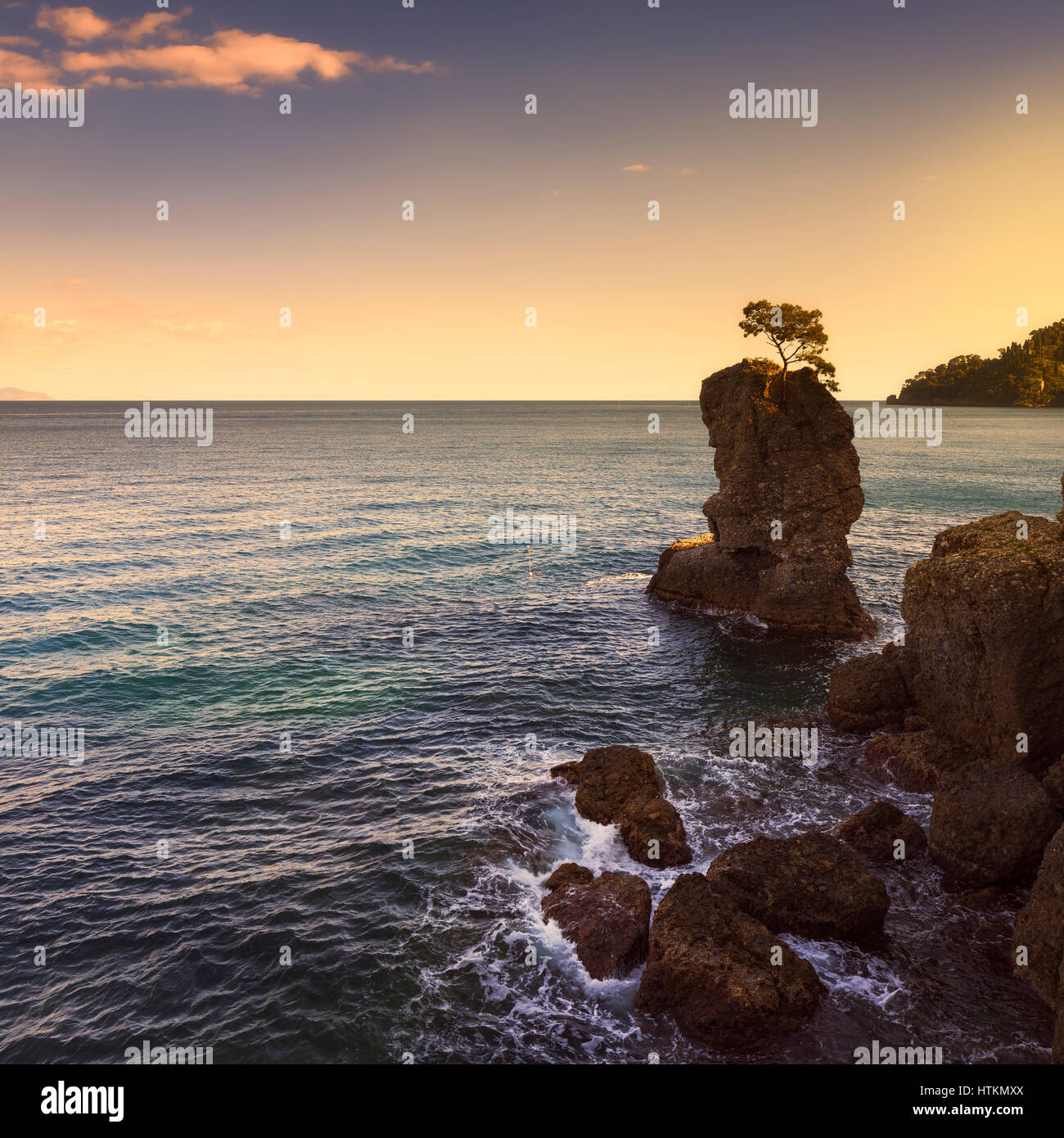 Regionaler Naturpark Portofino. Einsame Kiefer Baum Rock und Küsten Klippe Strand im Sonnenuntergang. Ligurien, Italien Stockfoto