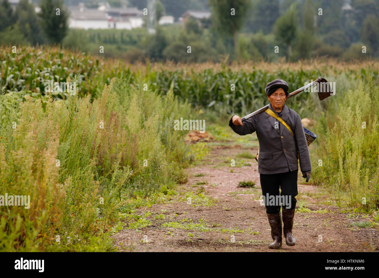 Ein Bauernhof-Arbeiter geht Throug Felder mit einer Hacke in der Nähe von Shaxi in der Provinz Yunnan, China Donnerstag, 18. August 2016.   Foto: © Luke MacGregor Stockfoto