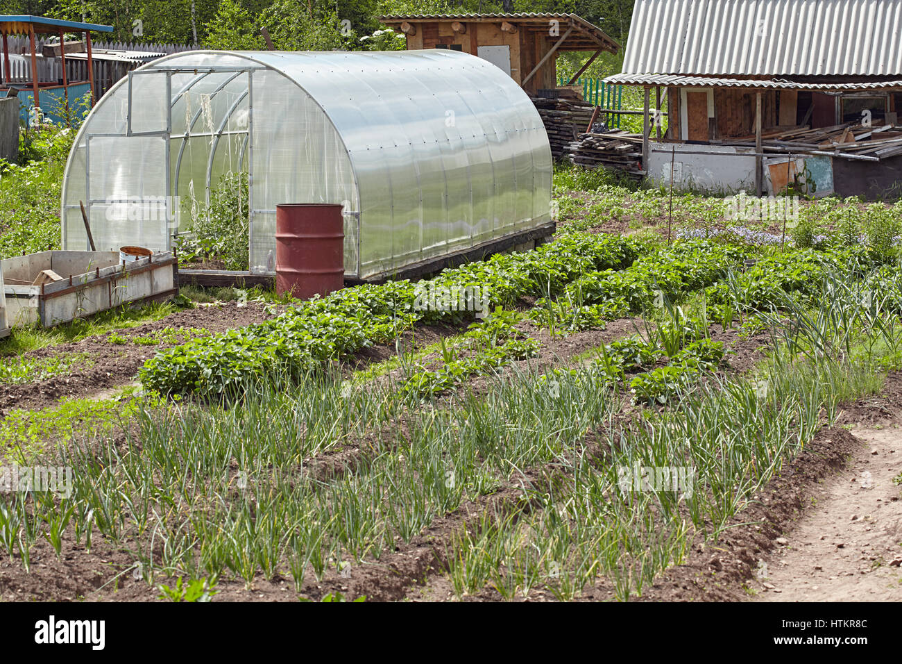 Polycarbonat Gewächshaus auf einer Land-Website Stockfoto