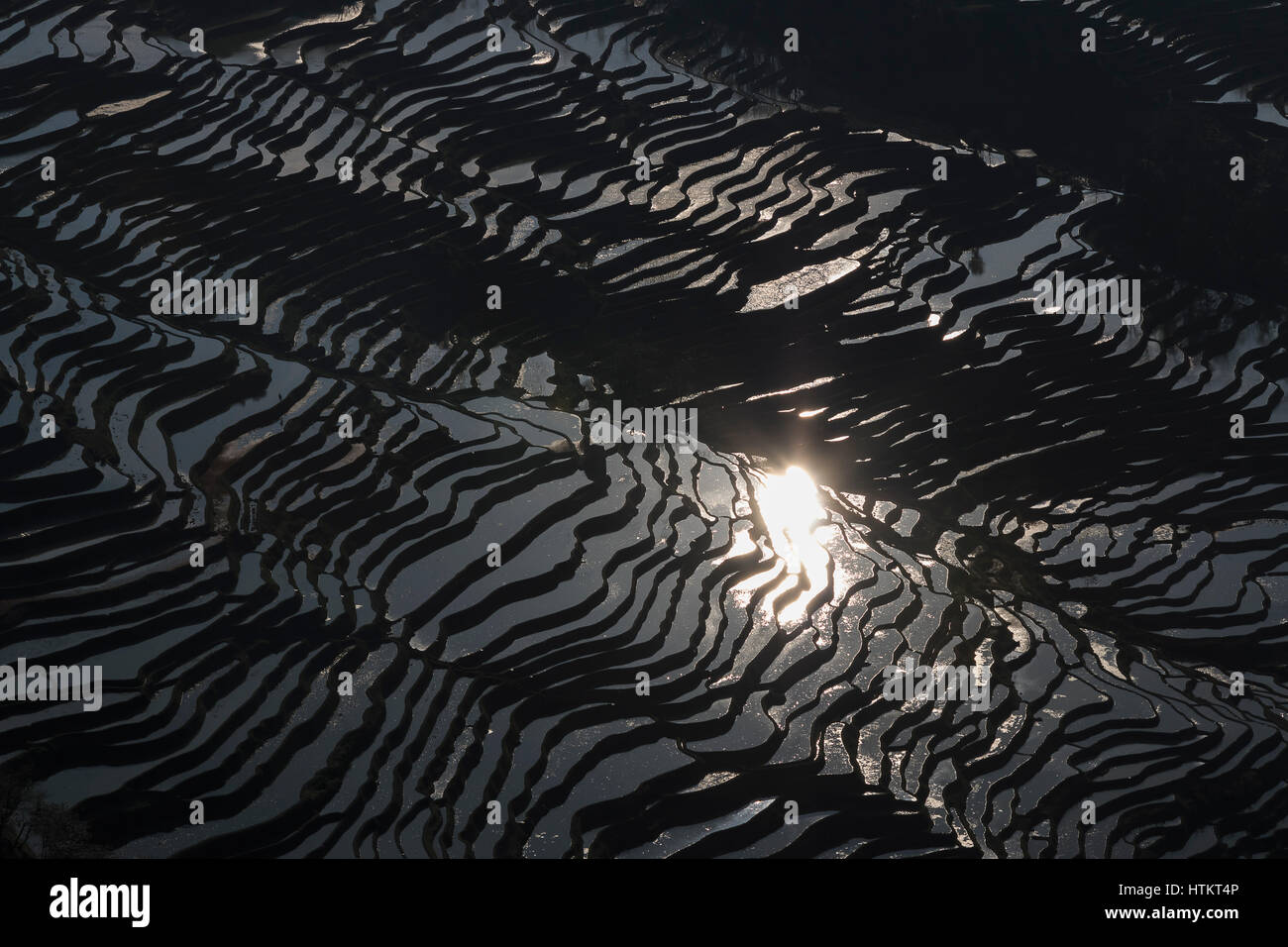 Sonnenuntergang über Reisterrassen von YuanYang in Yunnan, China, eines der jüngsten UNESCO-Welterbestätten Stockfoto