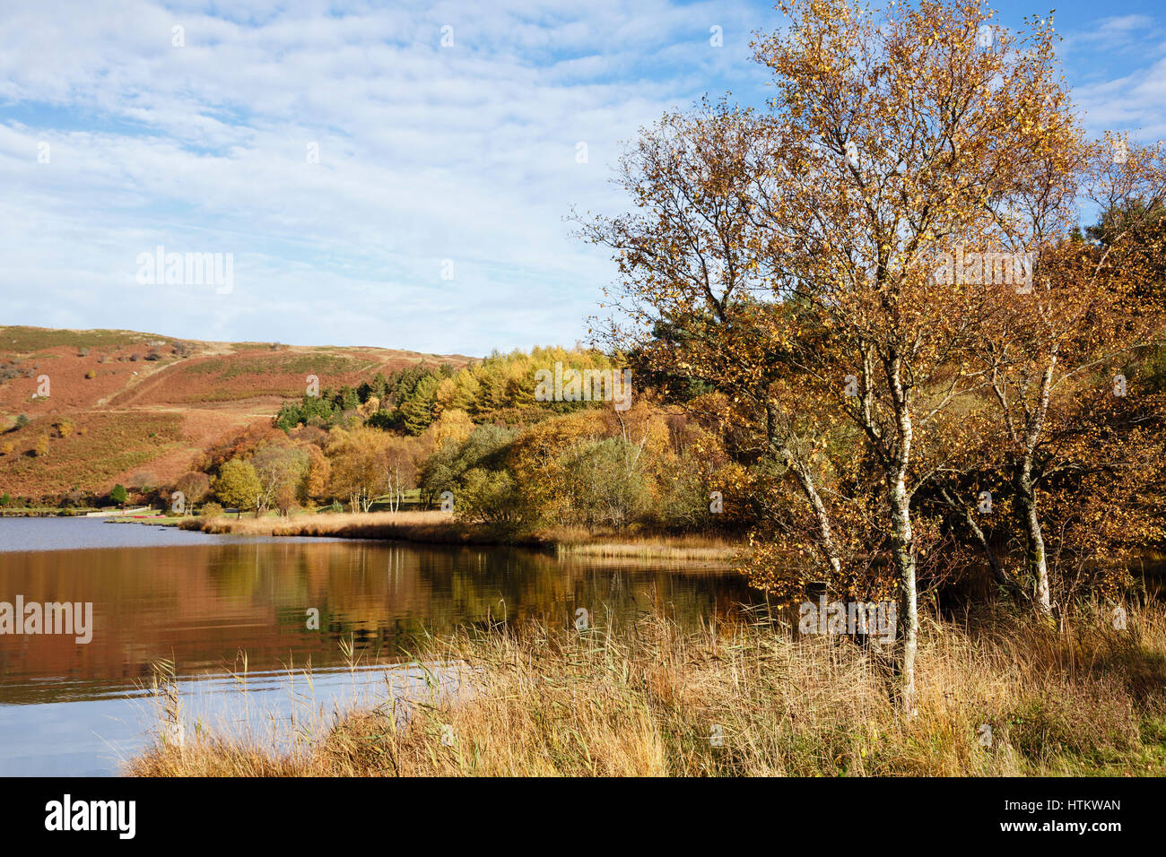 Llyn Geirionydd See in Gwydyr Forest Park im Herbst in Snowdonia National Park (Eryri). Trefriw, Conwy, North Wales, UK, Großbritannien Stockfoto