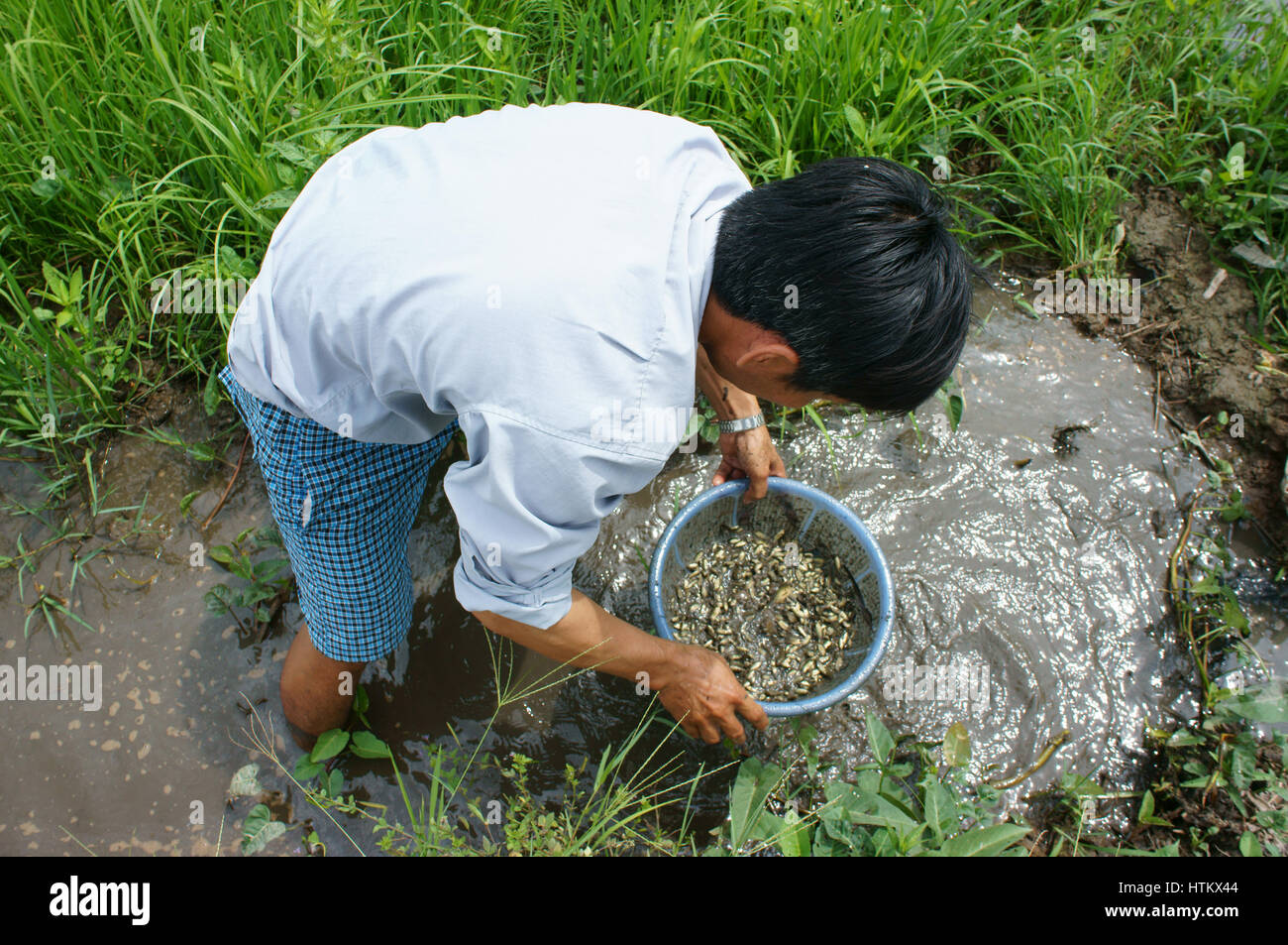 LANGE, VIET NAM - JULY 27: Vietnamesisch Mensch Fische fangen auf Schlamm Wasser, Dong Dong als Jungfische lecker Essen im Mekong-Delta Landschaft, dieser Fluss ist Stockfoto