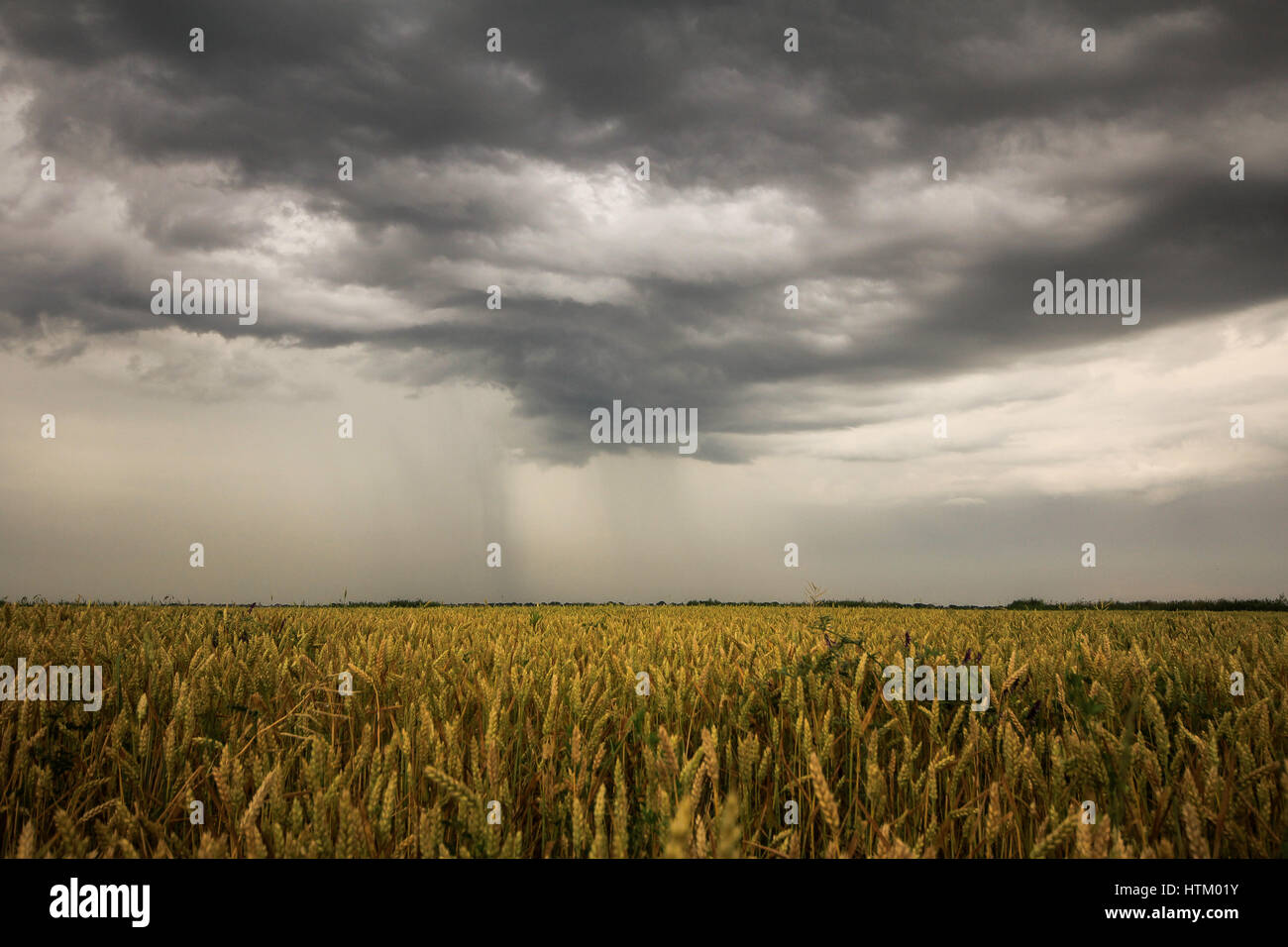 Bild von einem stürmischen Himmel während der Sommerzeit Stockfoto