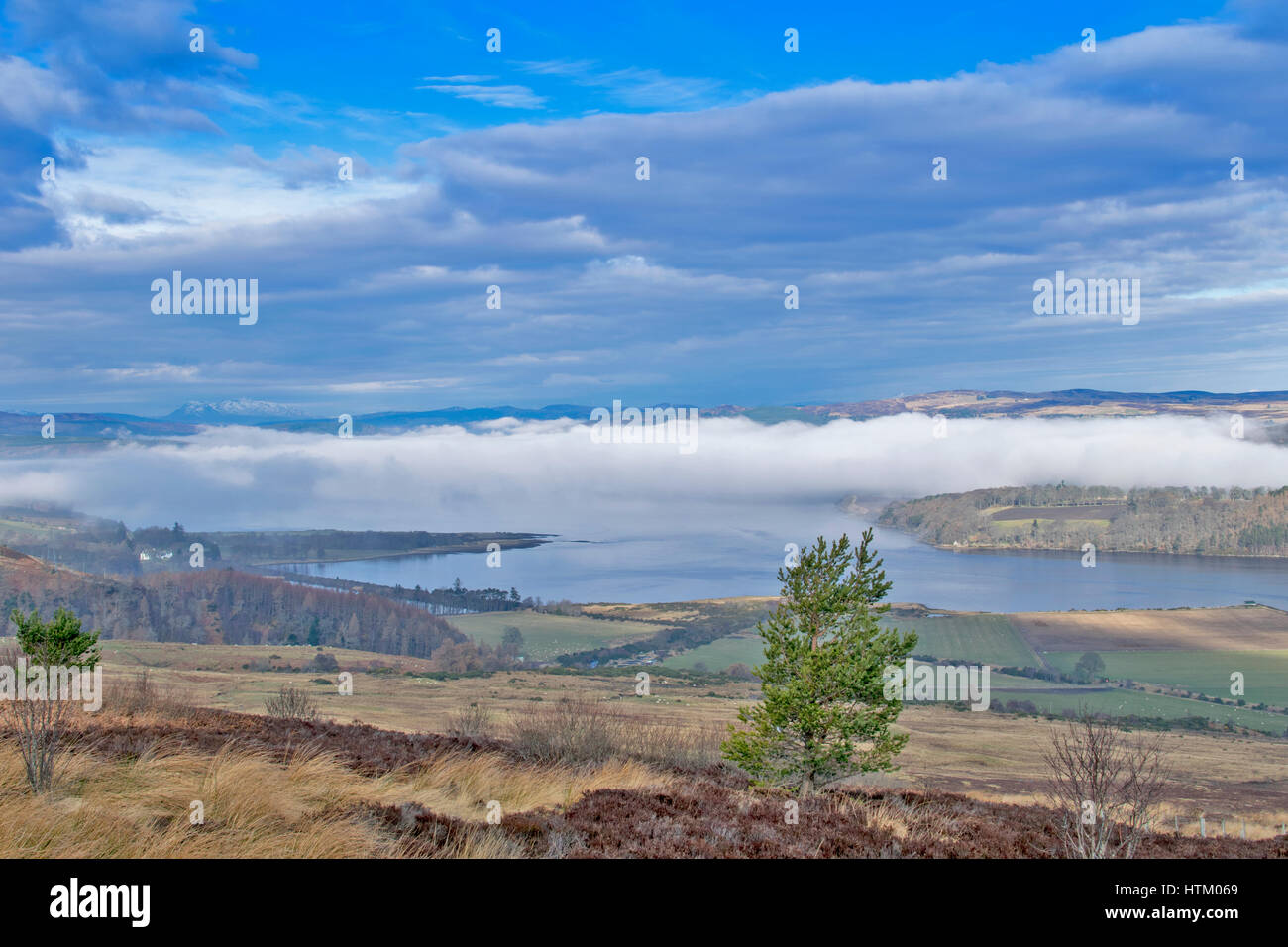 STRUIE HILL IM MÄRZ MIT CLOUD INVERSION UND AM FRÜHEN MORGEN NEBEL HEBEN ÜBER DEN DORNOCH FIRTH ANZEIGEN Stockfoto