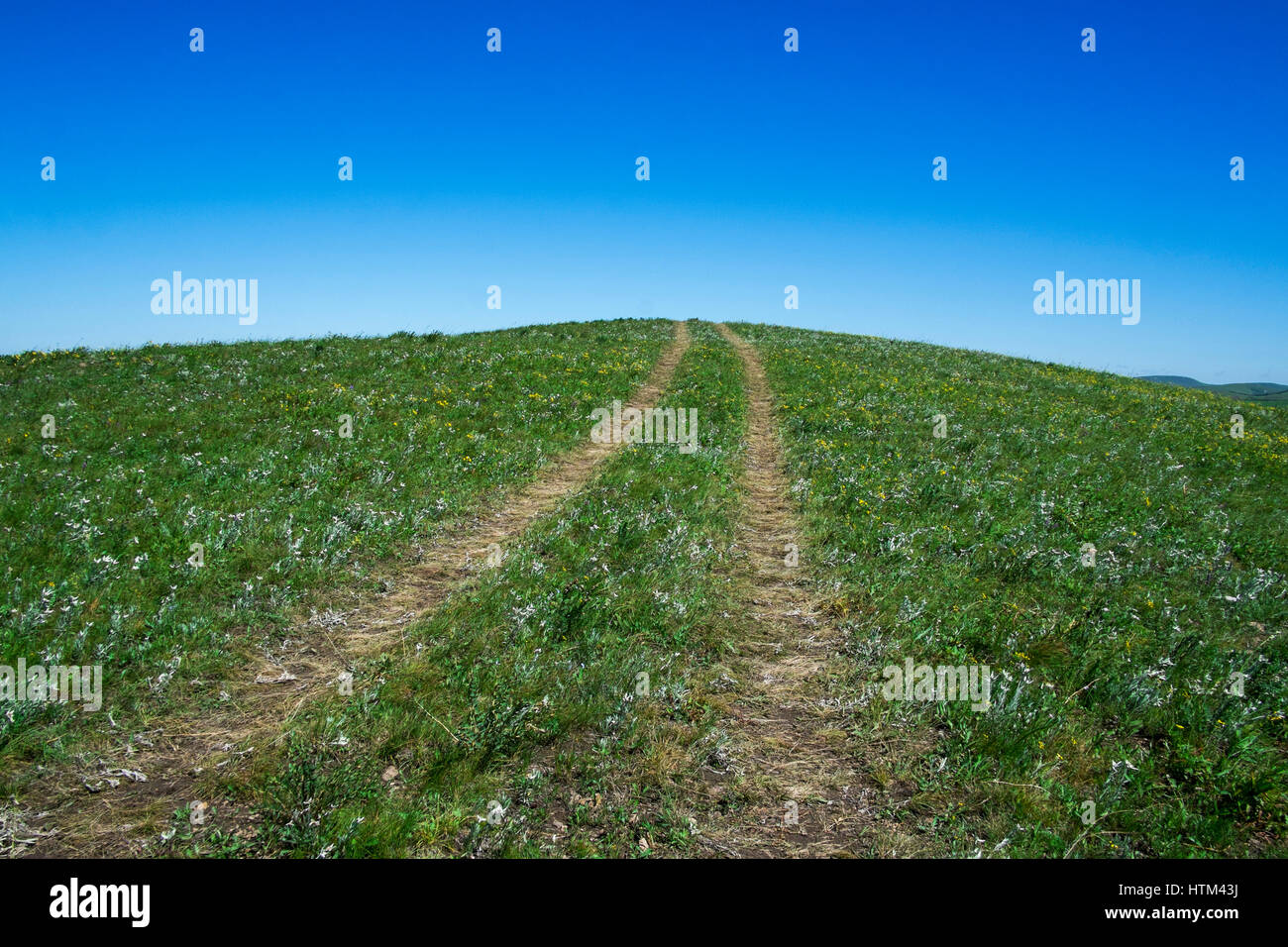 Bashang Grasland, Provinz Hebei, China Stockfoto