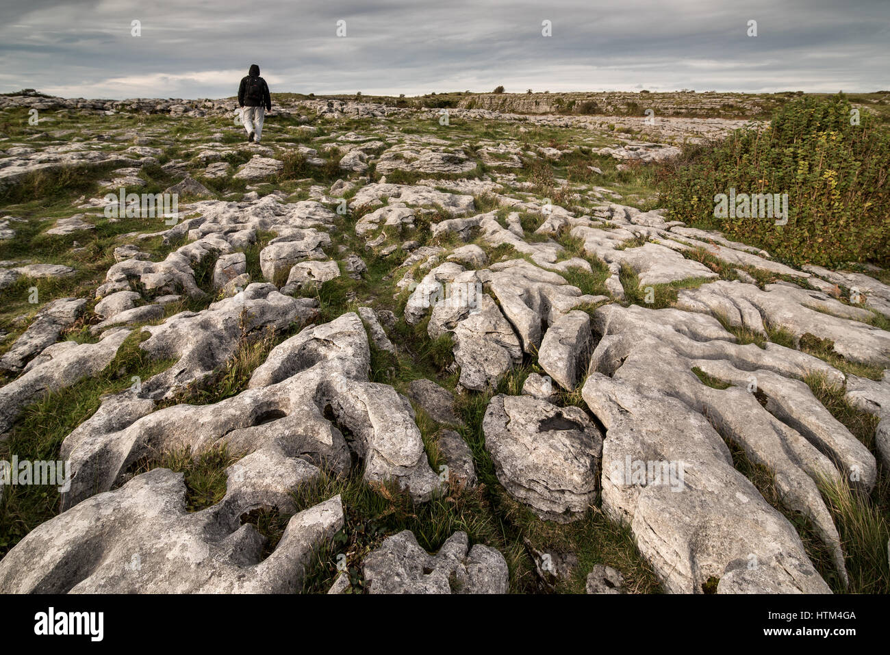 Karstlandschaft des Burren Nationalpark in der Grafschaft Clare, Südwest Irland Stockfoto