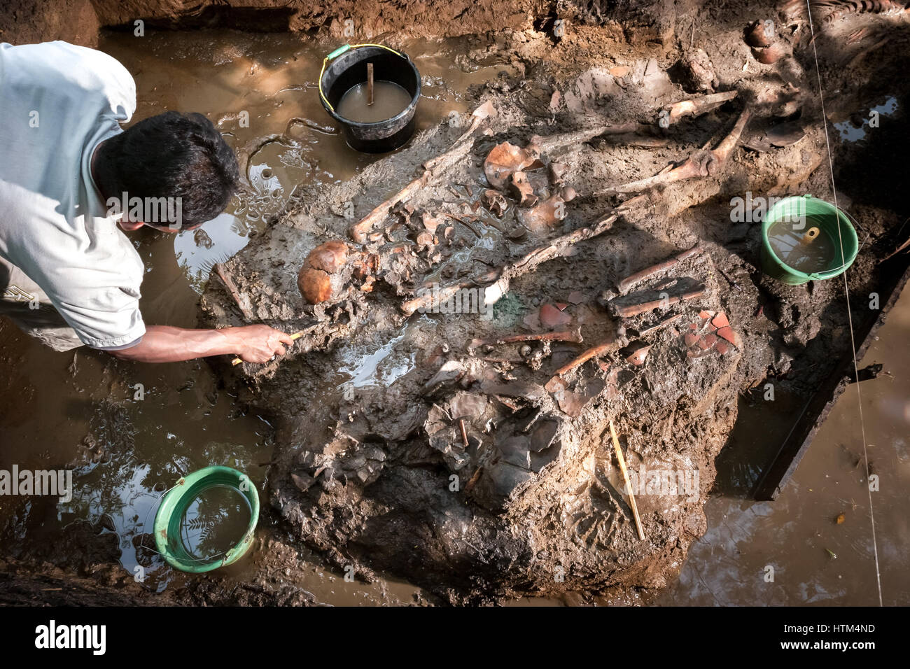 Ein Mann reinigt freiliegende prähistorische menschliche Knochen und Schädel während der Ausgrabung einer prähistorischen Grabstätte in Tempuran, Karawang, West-Java, Indonesien. Stockfoto