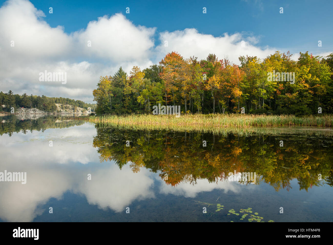 Herbstfarben auf Charlton Lake, Ontario, Kanada Stockfoto